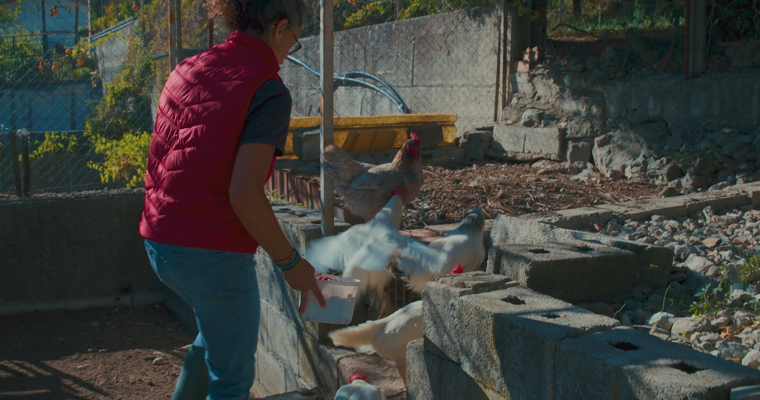 Still 2025-12-31 170523_1.7.1.jpeg