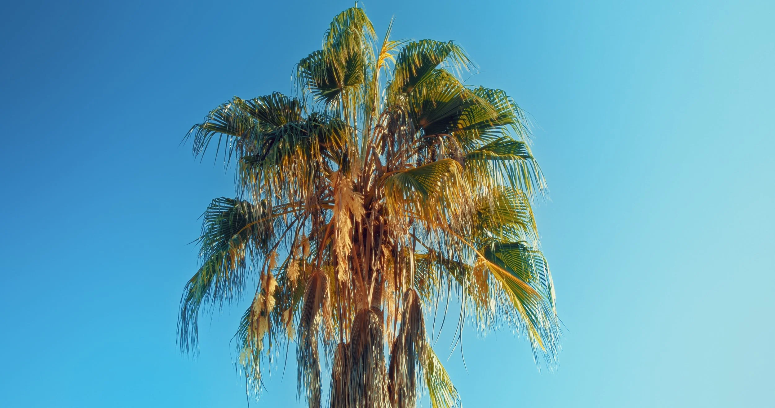 Still 2025-12-01 180006_1.2.1.jpeg