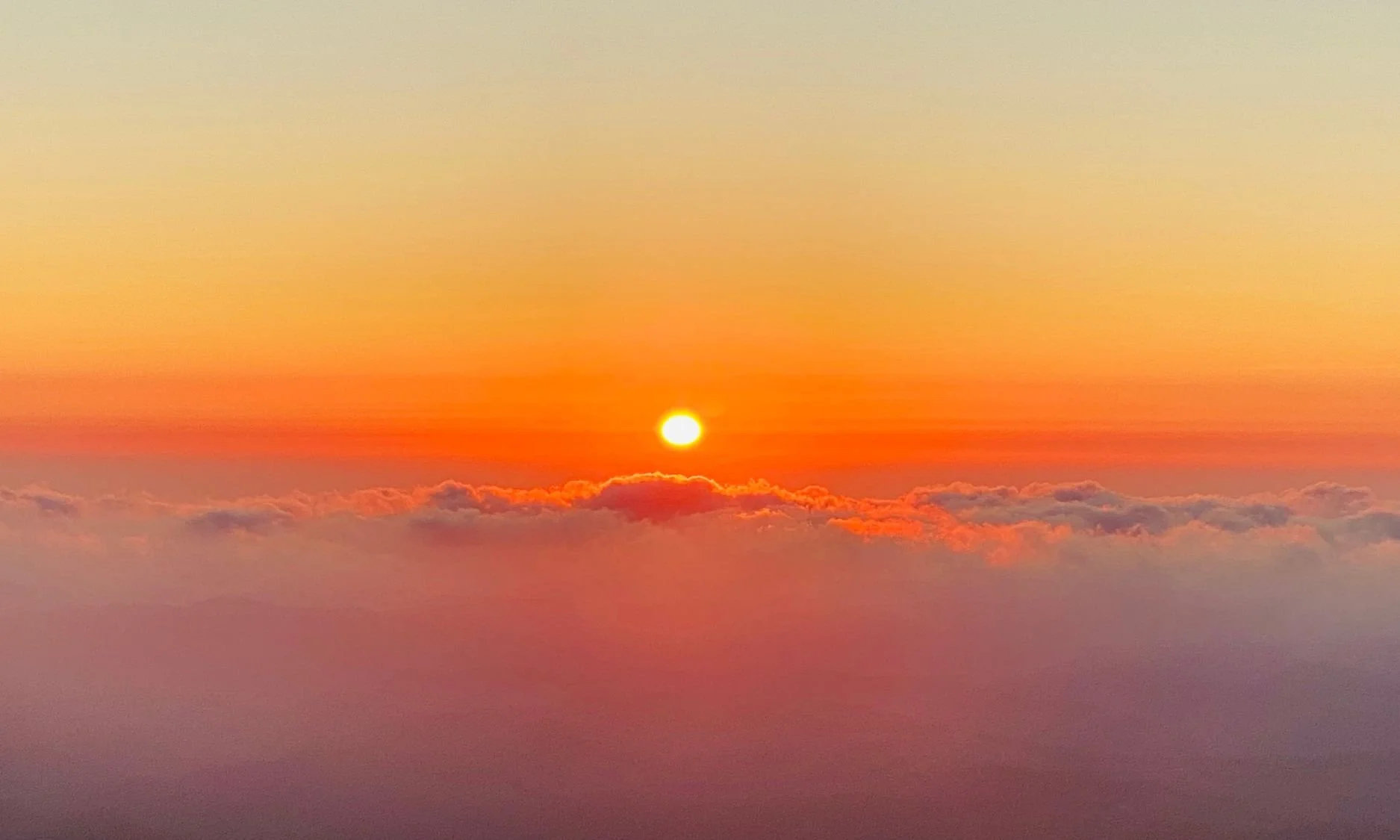 Sea to Sky: The Authentic Soul of the Algarve