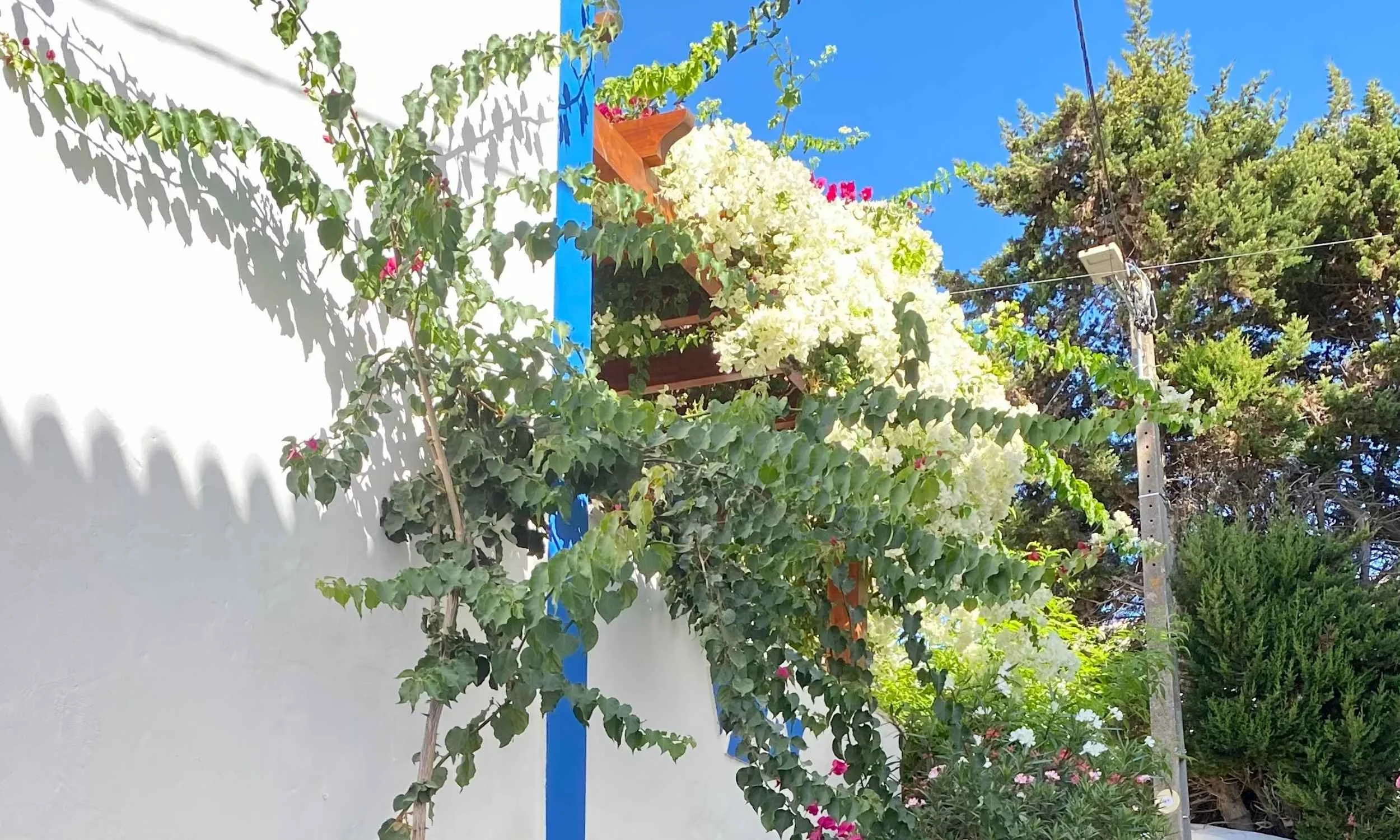 Lagos Walking Tour &amp; The Western: Unspoiled Fishing Villages