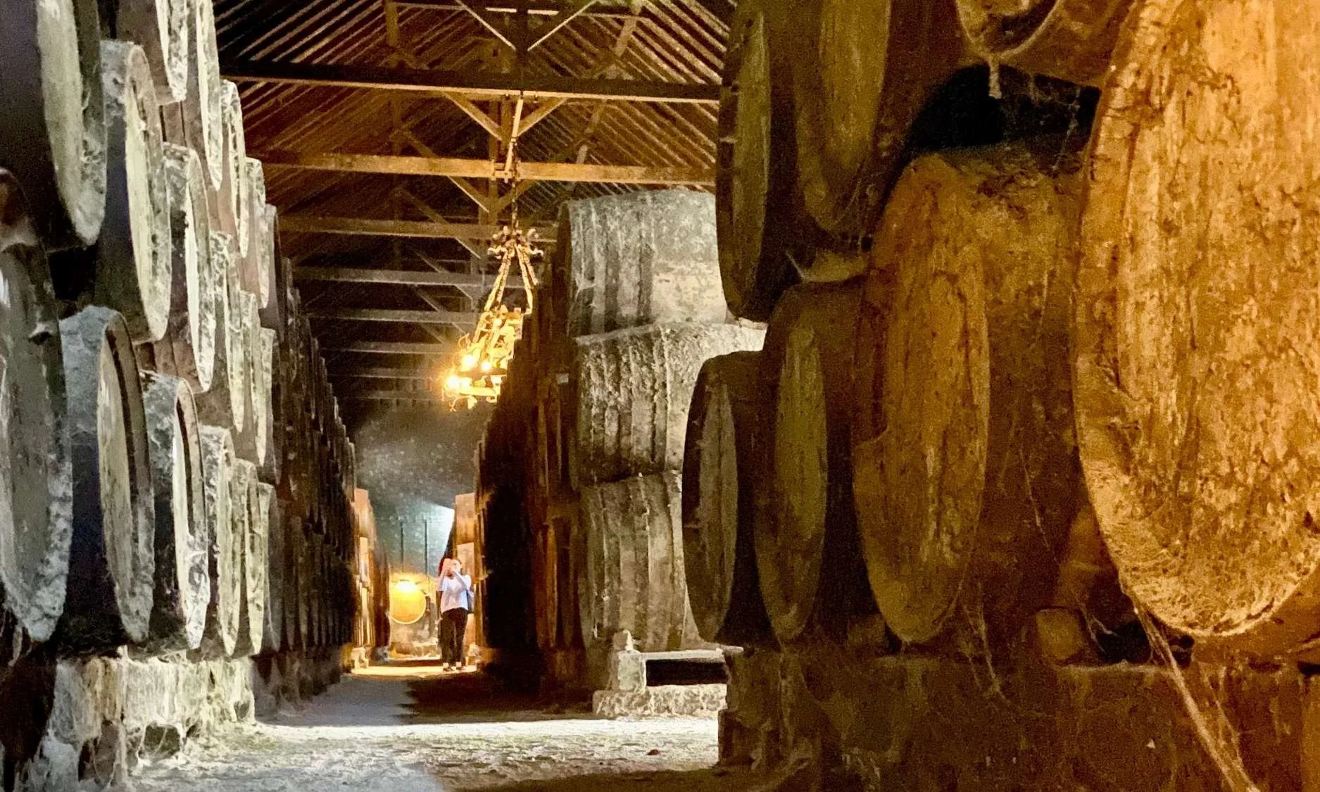 Visiting the José Maria da Fonseca Winery&nbsp;