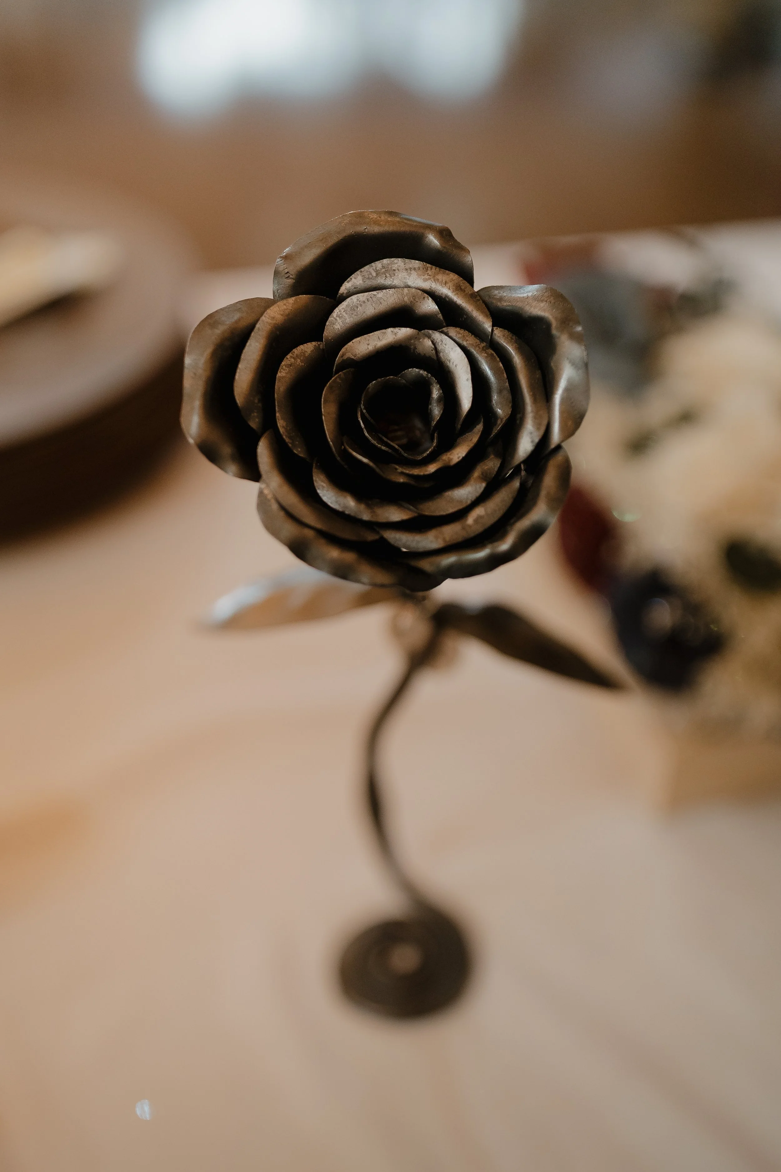 Rose Blurred Background.jpg