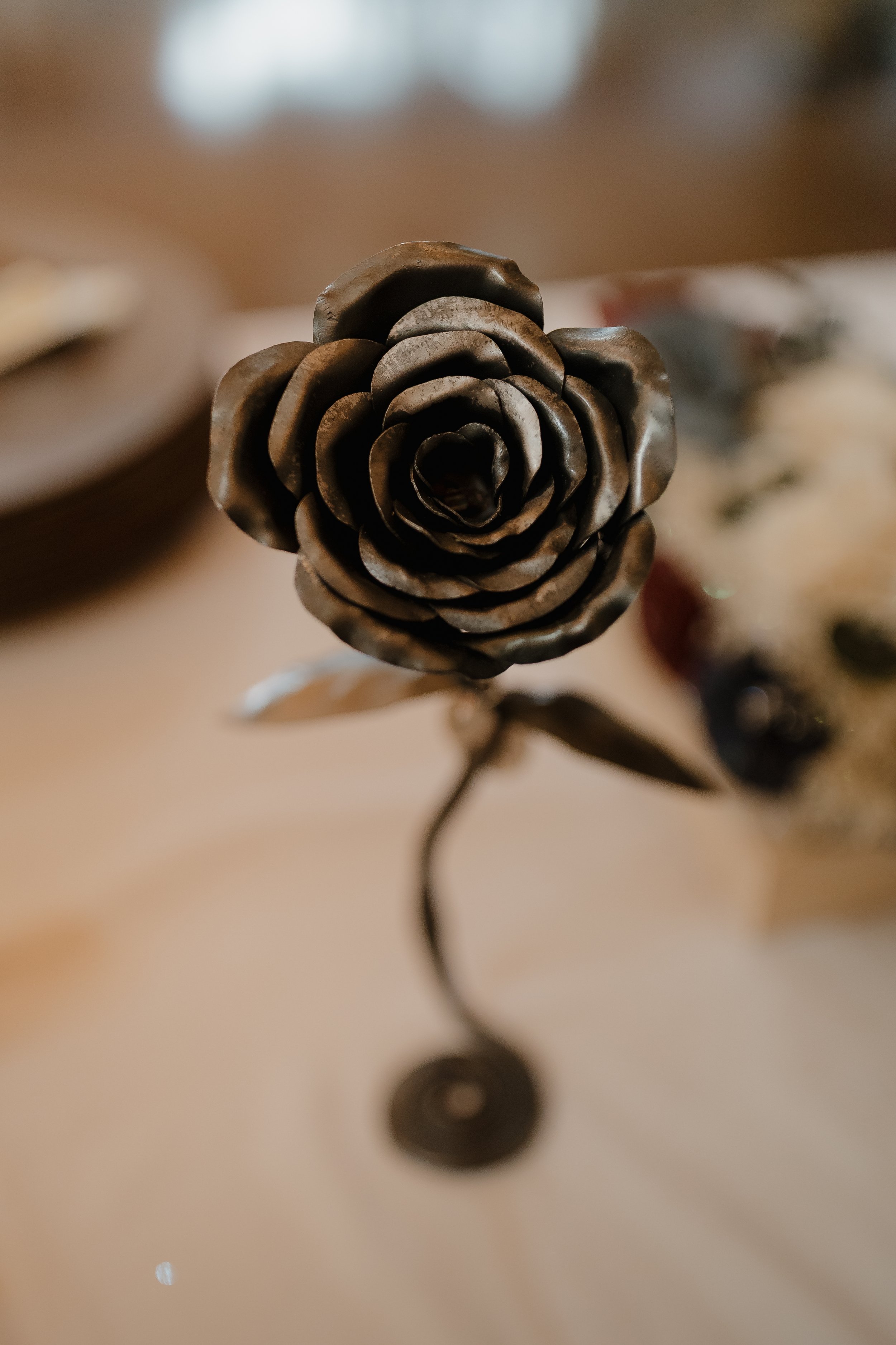 Rose Blurred Background.jpg