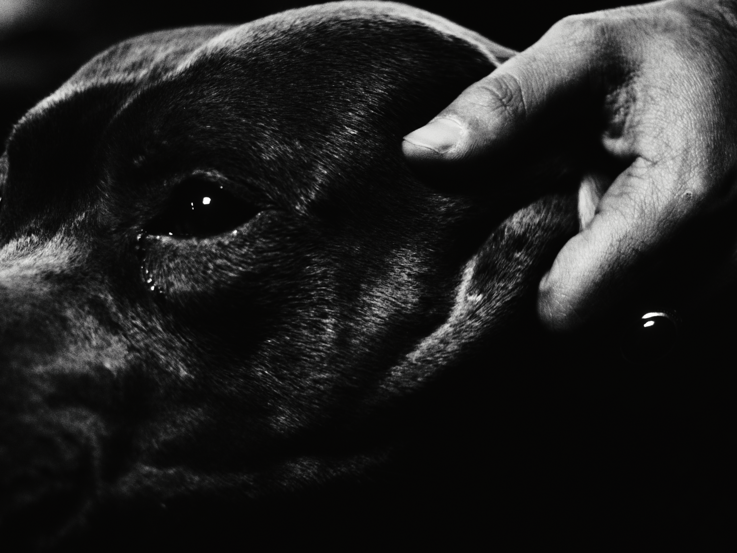 Still 2026-01-05 203850_1.1.30.T.png