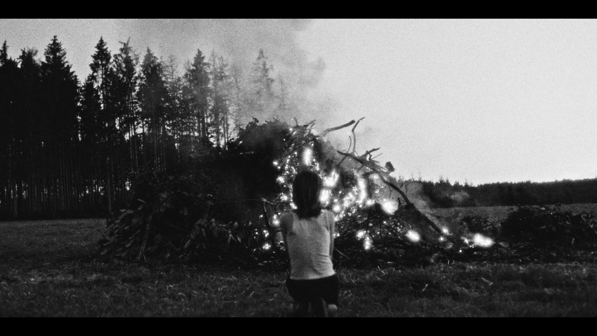 Still 2024-10-05 002716_1.67.1.PNG