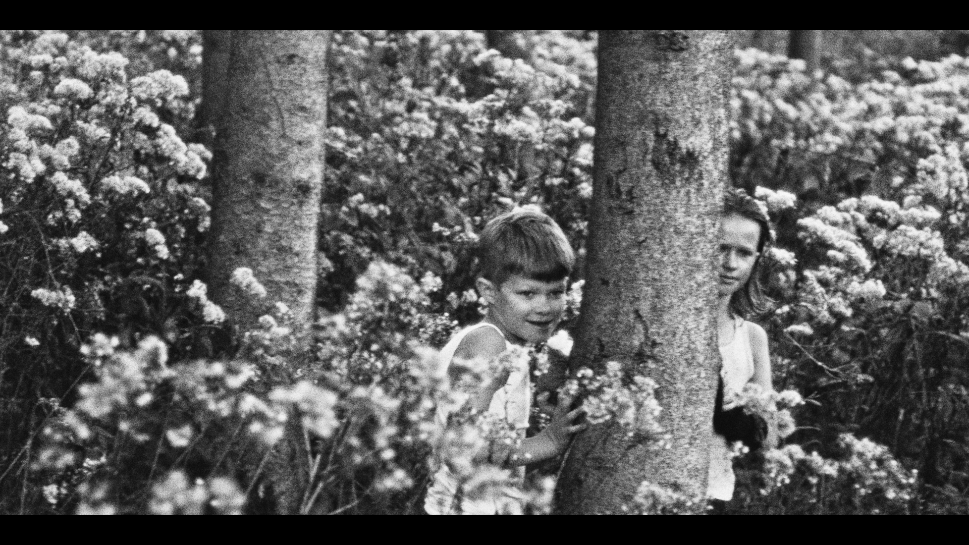 Still 2024-10-05 002716_1.24.1.PNG