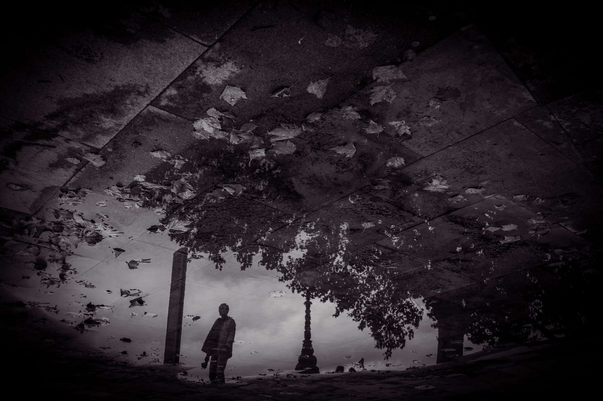 Reflection of a person walking near a lamppost, trees, and cloudy sky in a puddle on a tiled pavement, with leaves scattered on the ground.
