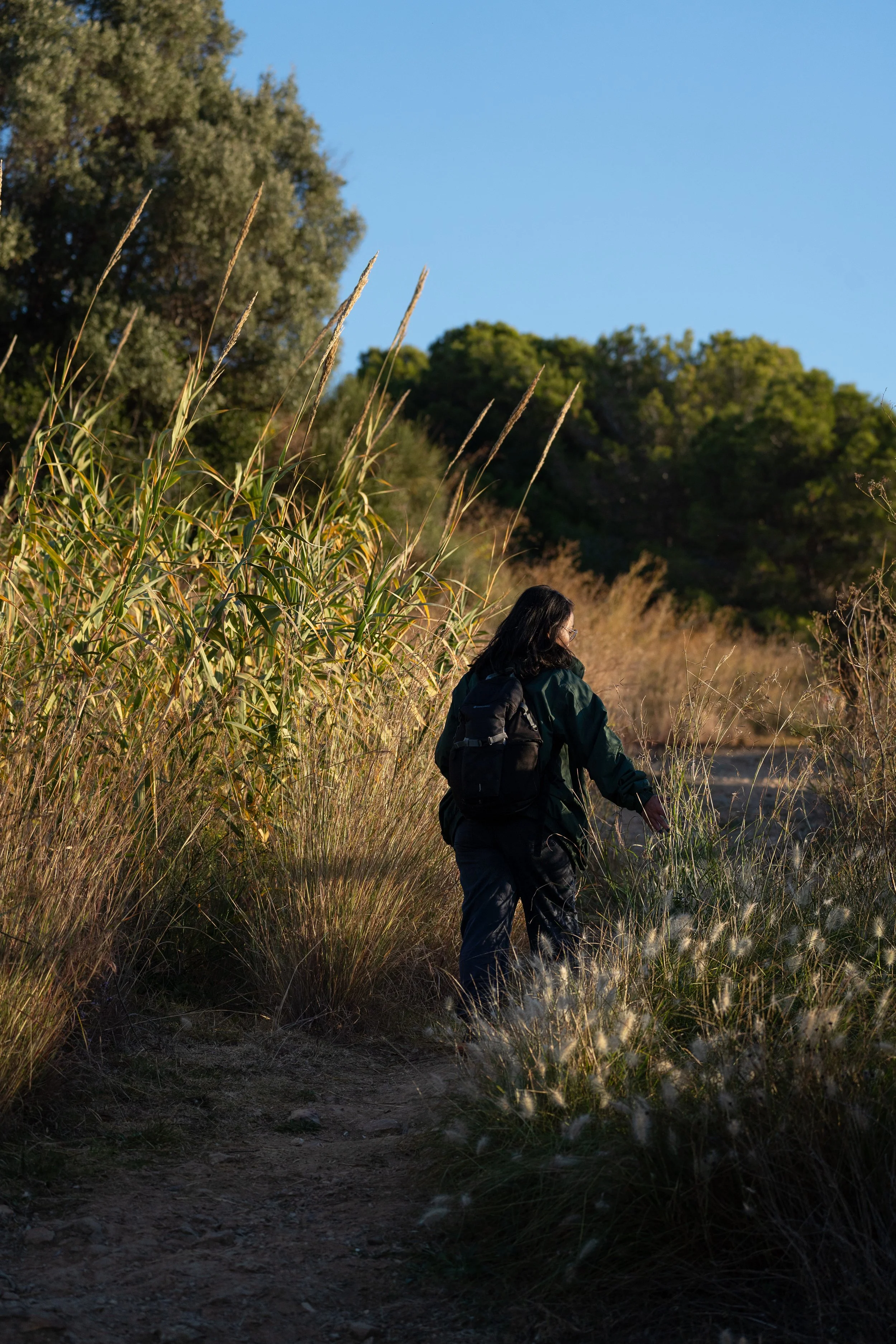Birdsong Walks (1:1 or group)