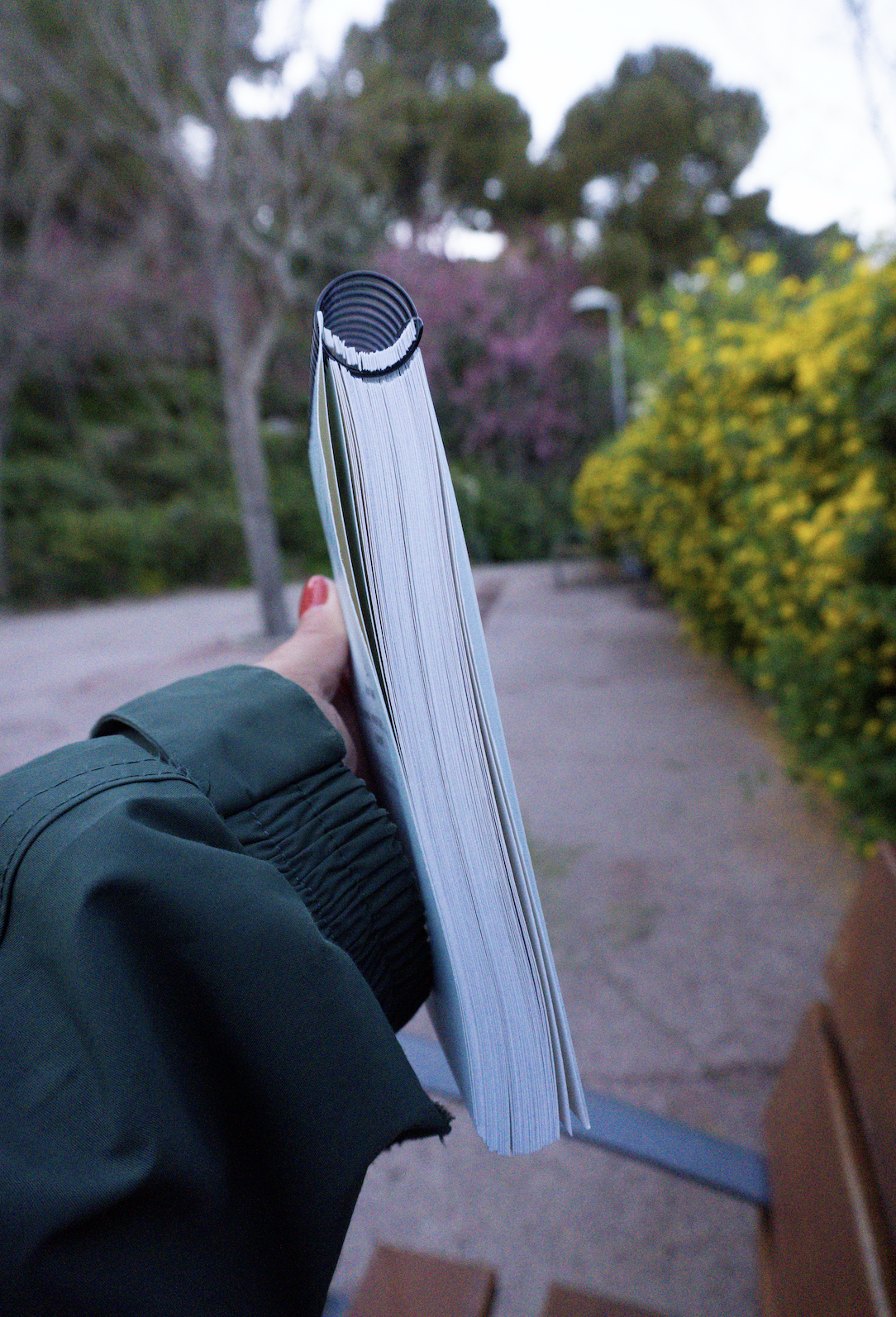 Screenshot 2026-03-17 at 23.12.54.png