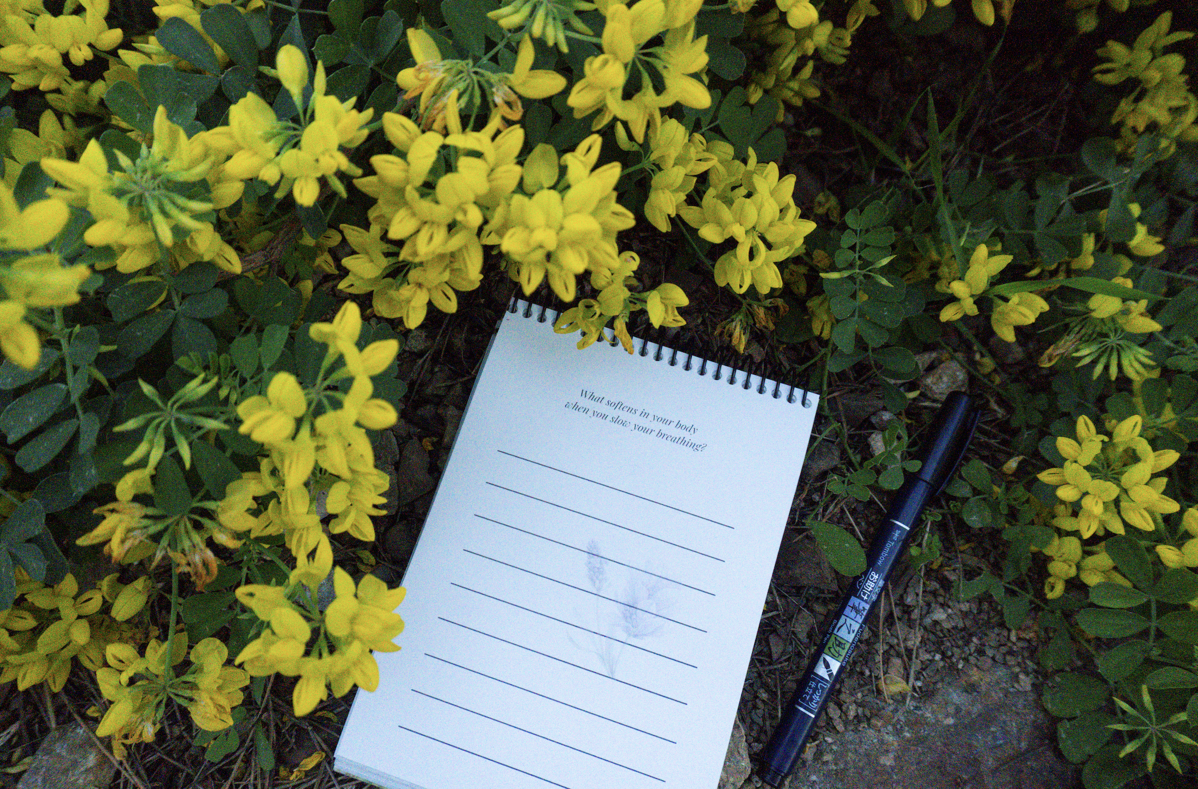 Screenshot 2026-03-17 at 23.17.37.png