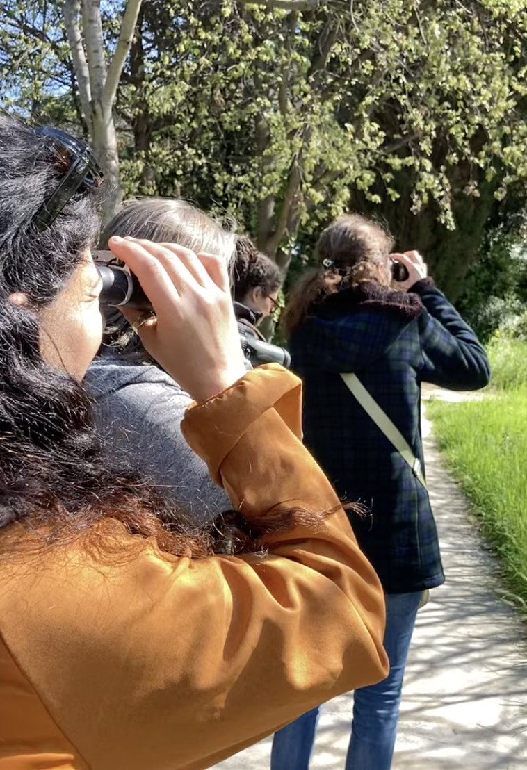 Three women are outdoors, looking through binoculars, observing nature or wildlife. They are walking on a path surrounded by trees and greenery on a sunny day.