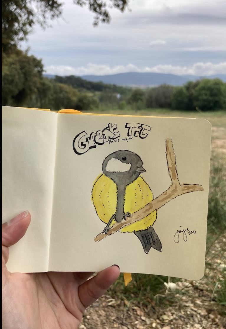 A sketch of a chickadee bird wearing a yellow jacket perched on a branch, with the words 'Great Tit' and 'Parus major' written above and below the drawing, held up outdoors with trees and mountains in the background.