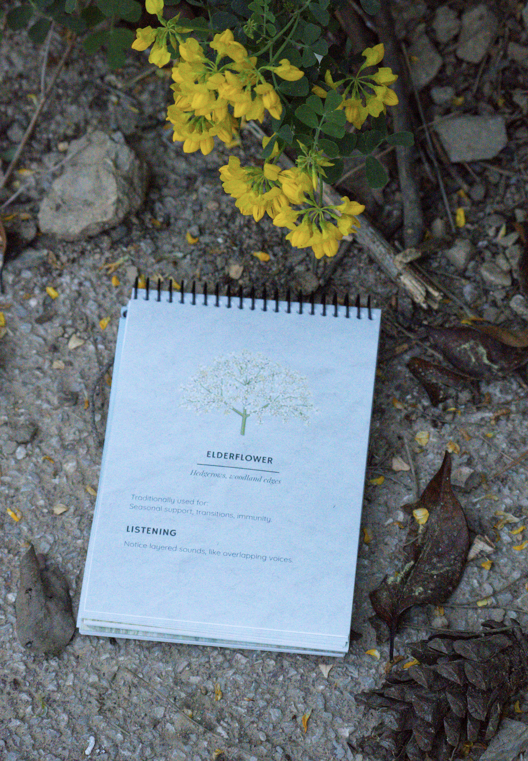 Screenshot 2026-03-17 at 23.17.20.png