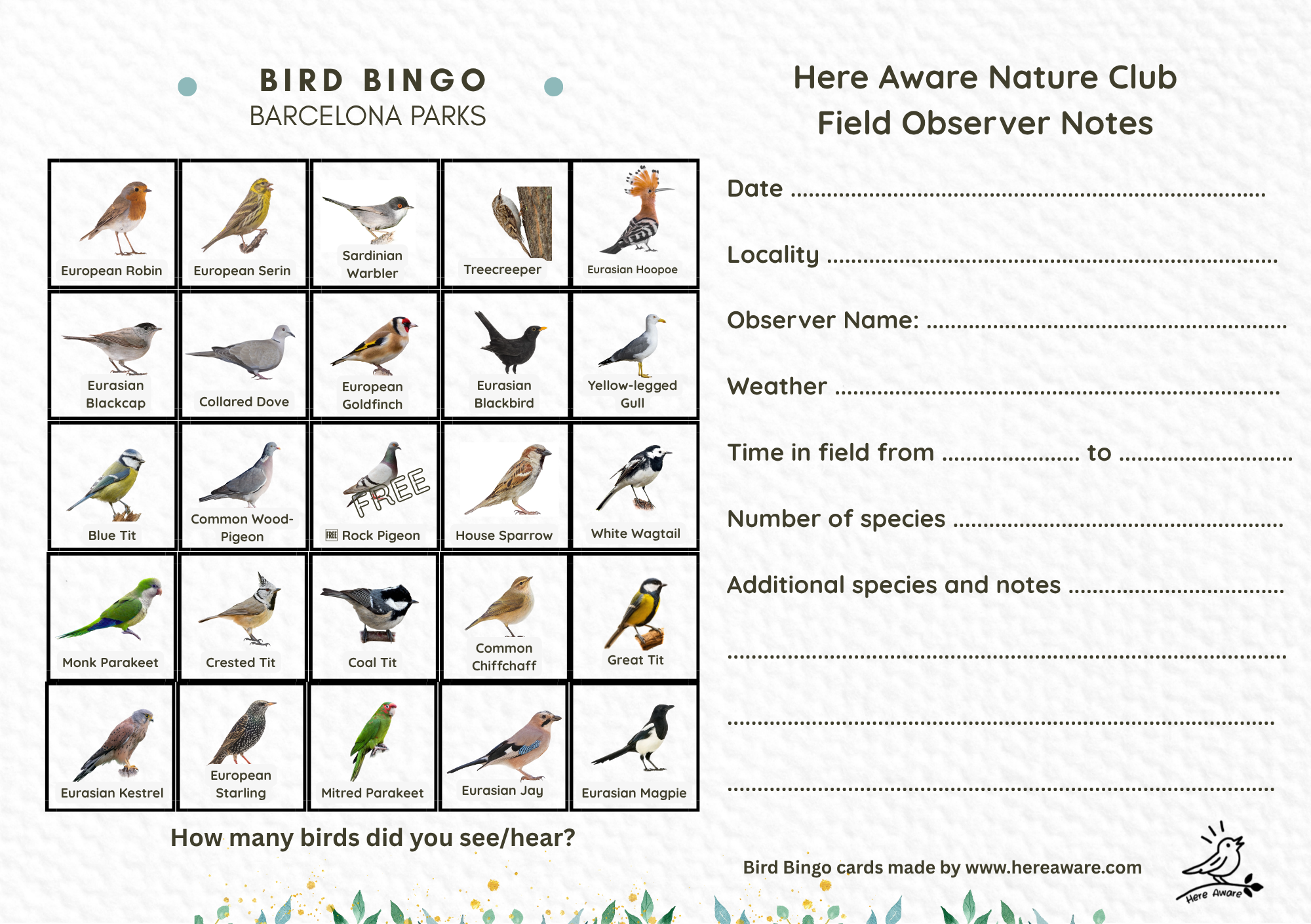 Bird Bingo – All-year Barcelona Parks | FREE Printable Nature Activity Card