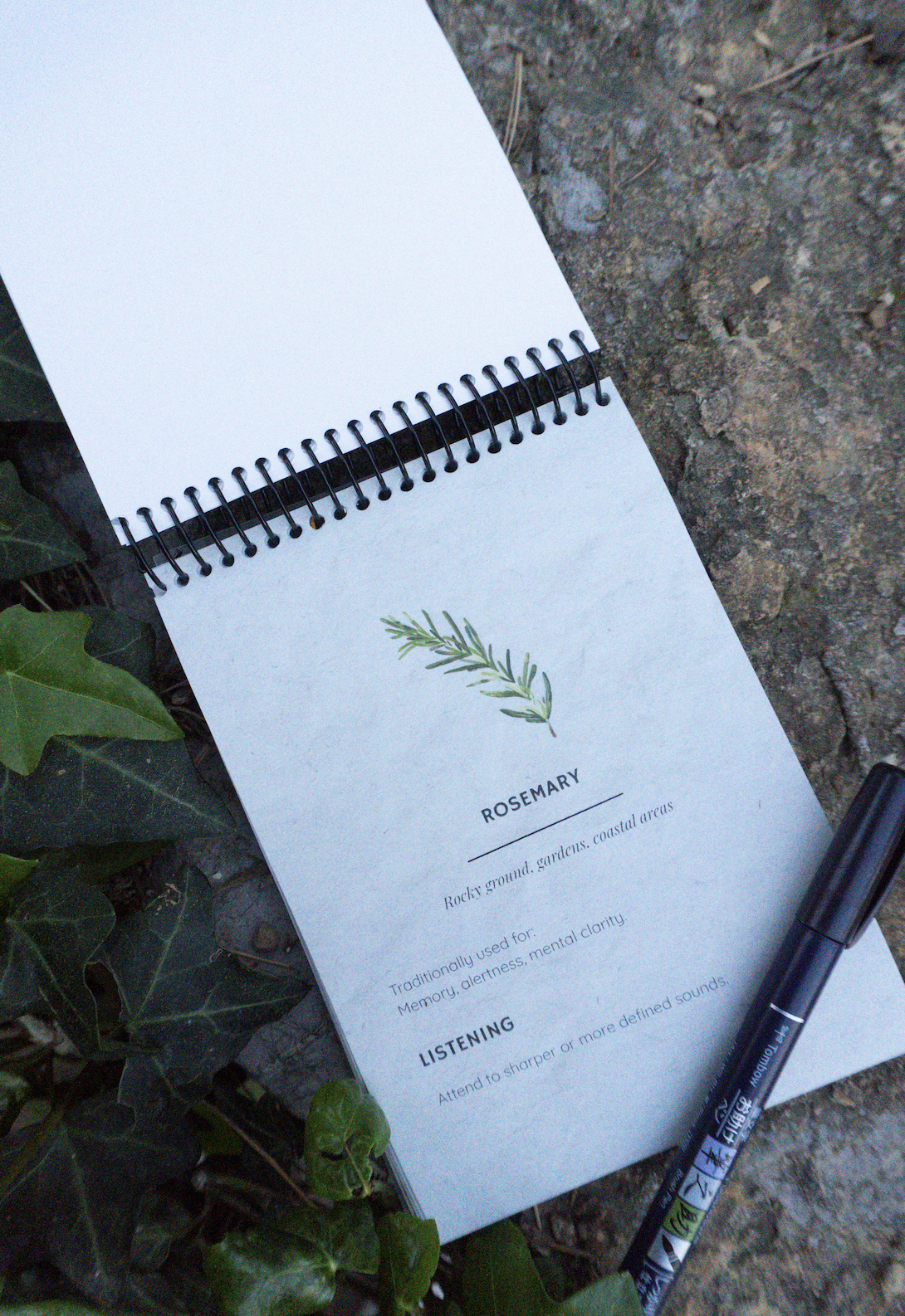 Screenshot 2026-03-17 at 23.17.51.png