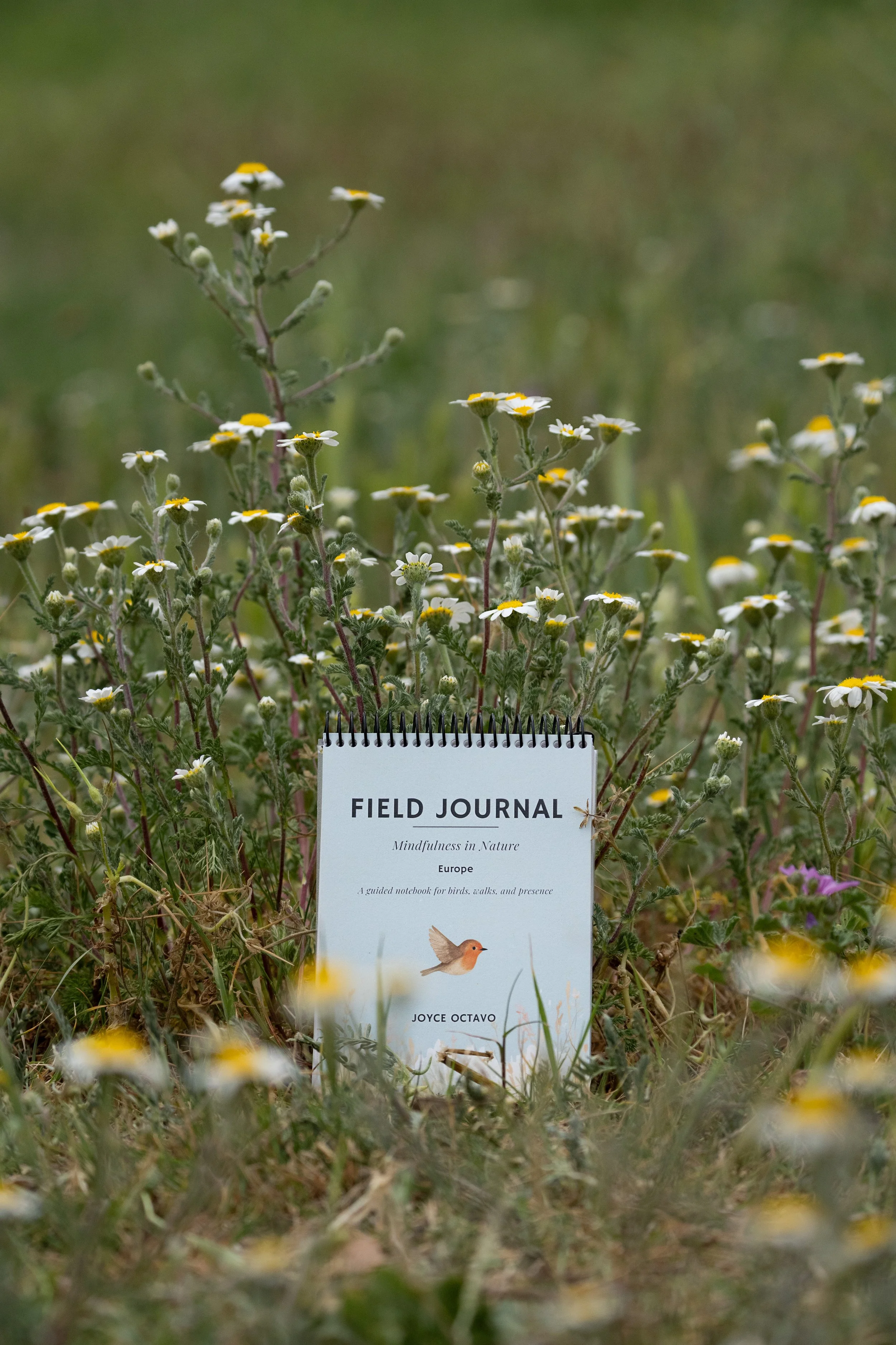 Field Journal Mindfulness in Nature Europe by Joyce Octavo