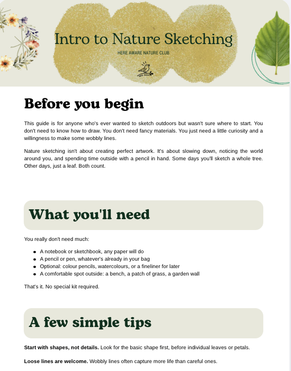 Intro to Nature Sketching – Beginner's Guide | FREE Printable Workbook