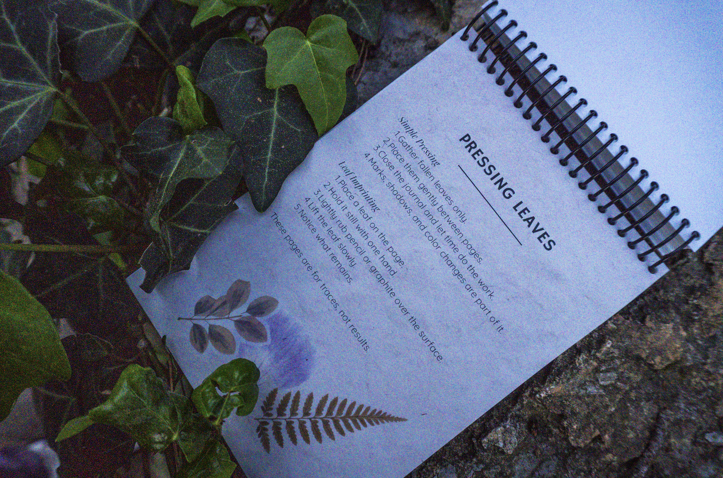 Screenshot 2026-03-17 at 23.18.00.png