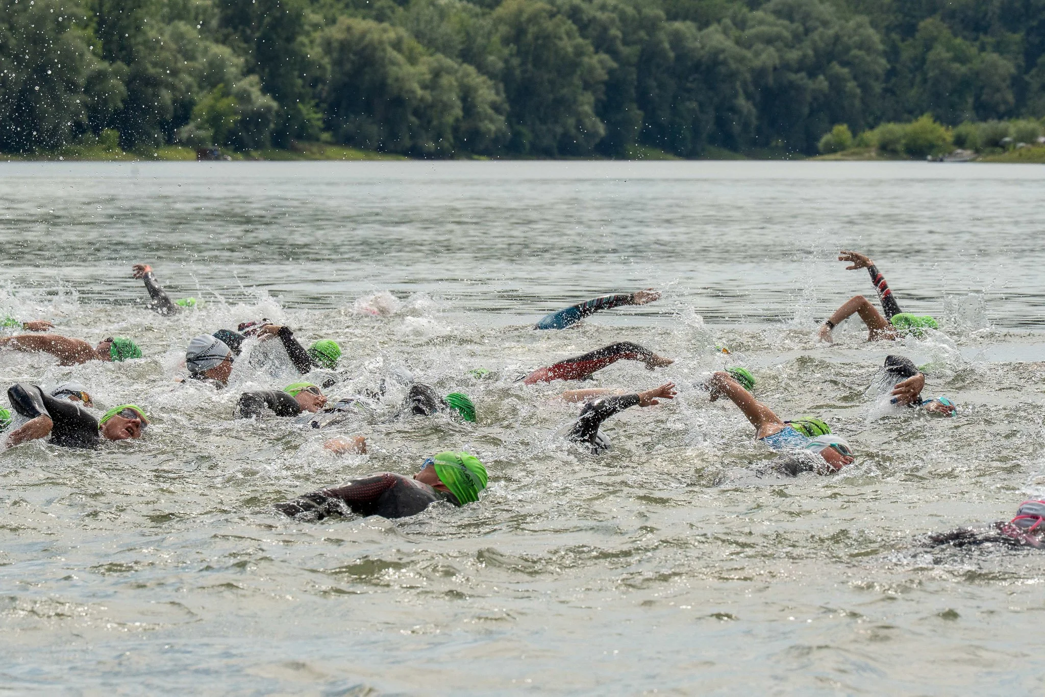 Mehrere Schwimmer beim Open-Water-Marathon im Wasser, umgeben von grünen Bäumen und hügeliger Landschaft.
