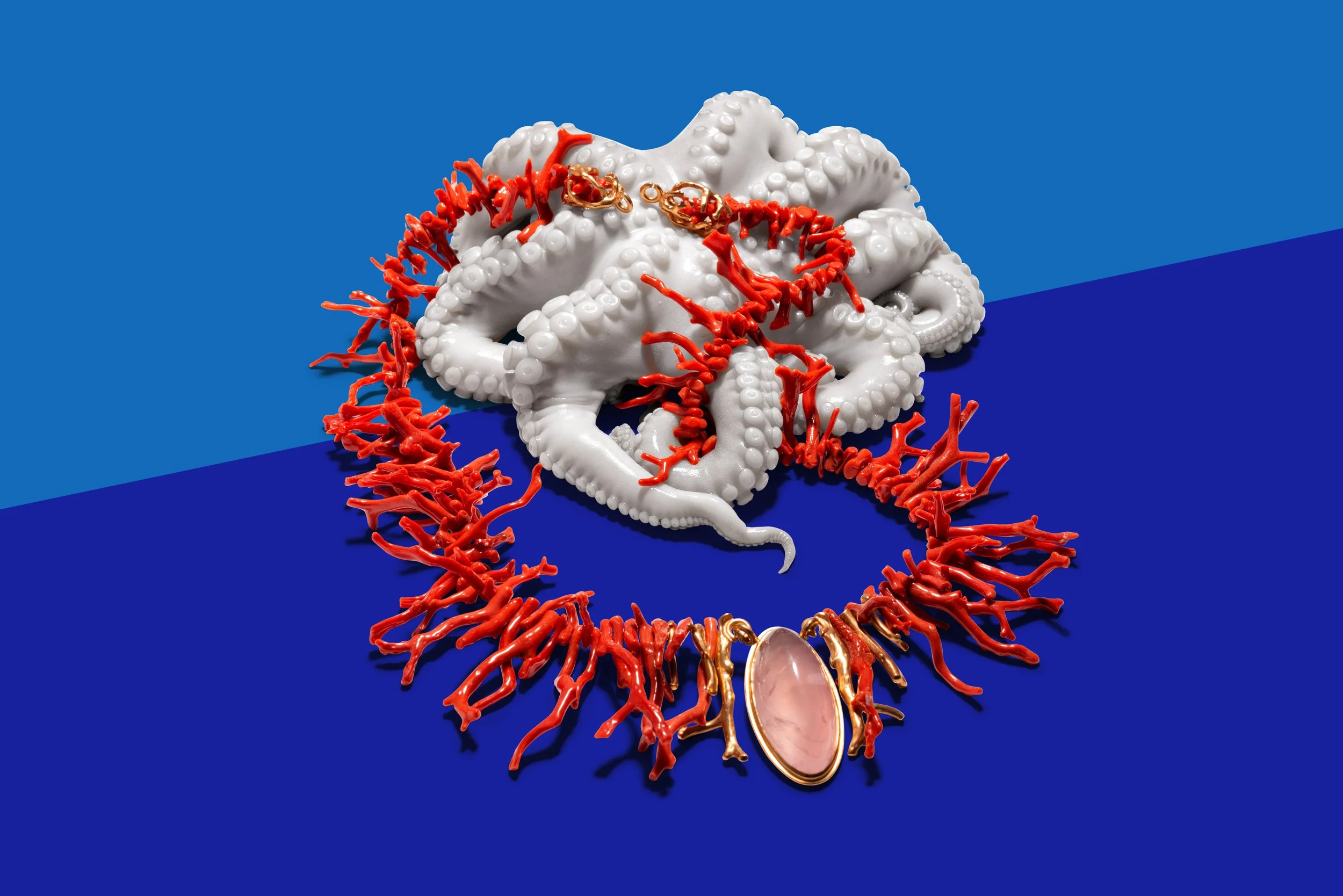 Foto: Niels Schubert