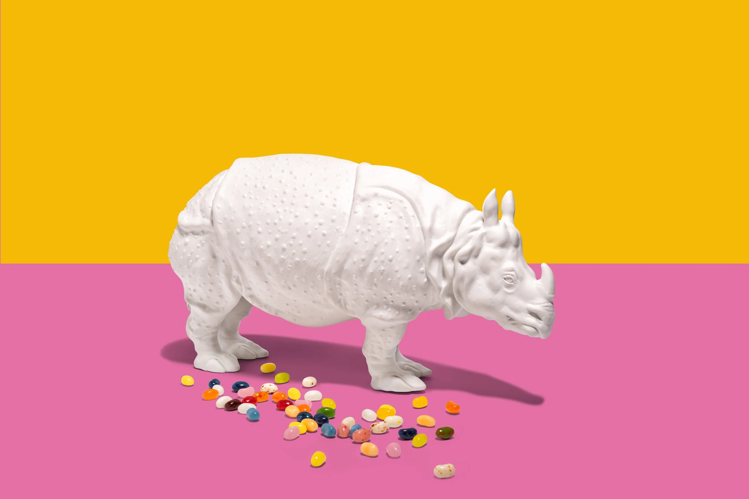 Foto: Niels Schubert