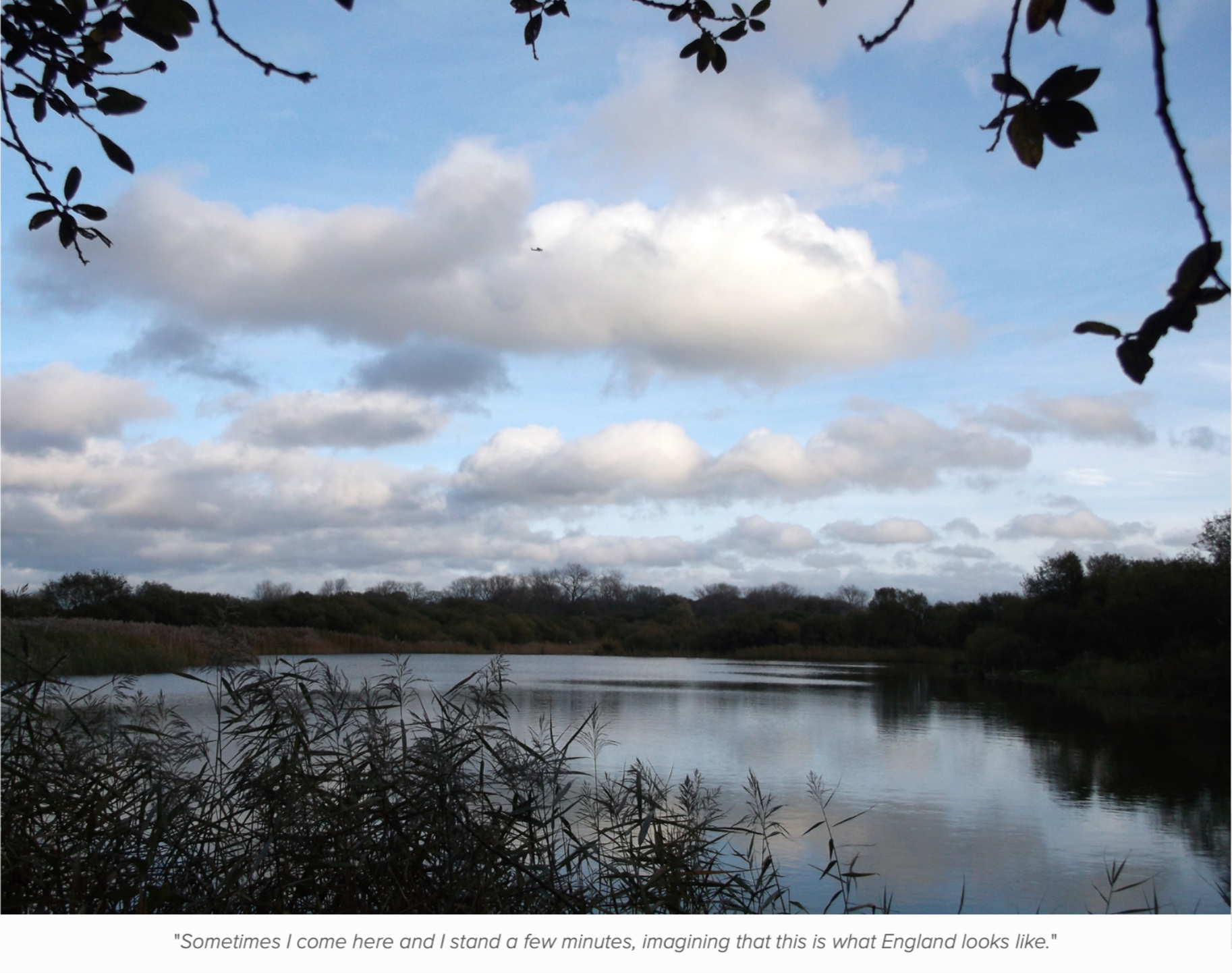 Screenshot 2026-01-11 at 00.25.06.png