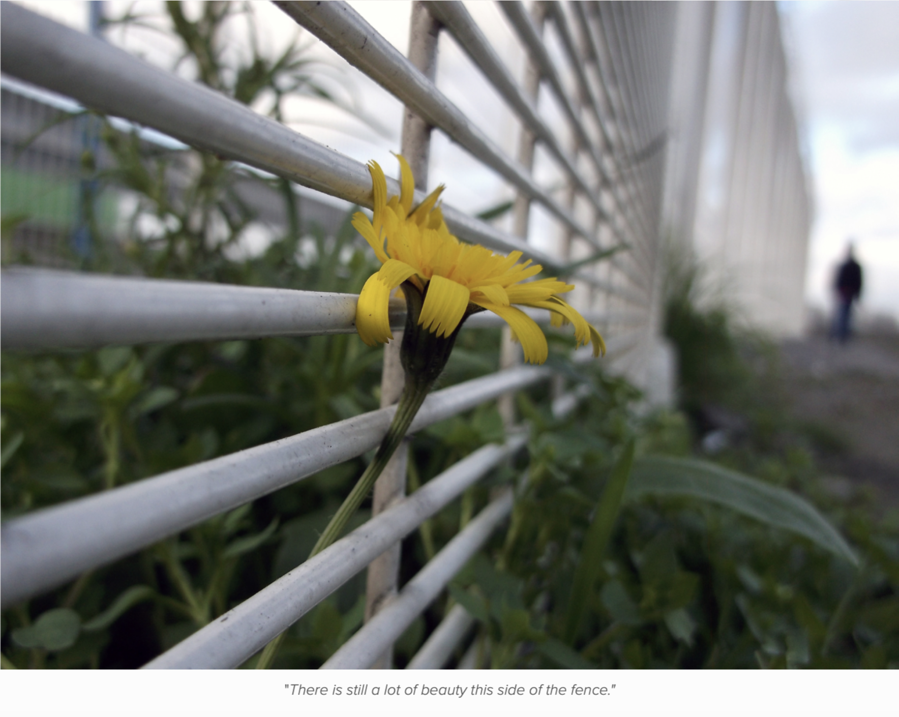 Screenshot 2026-01-11 at 00.24.23.png