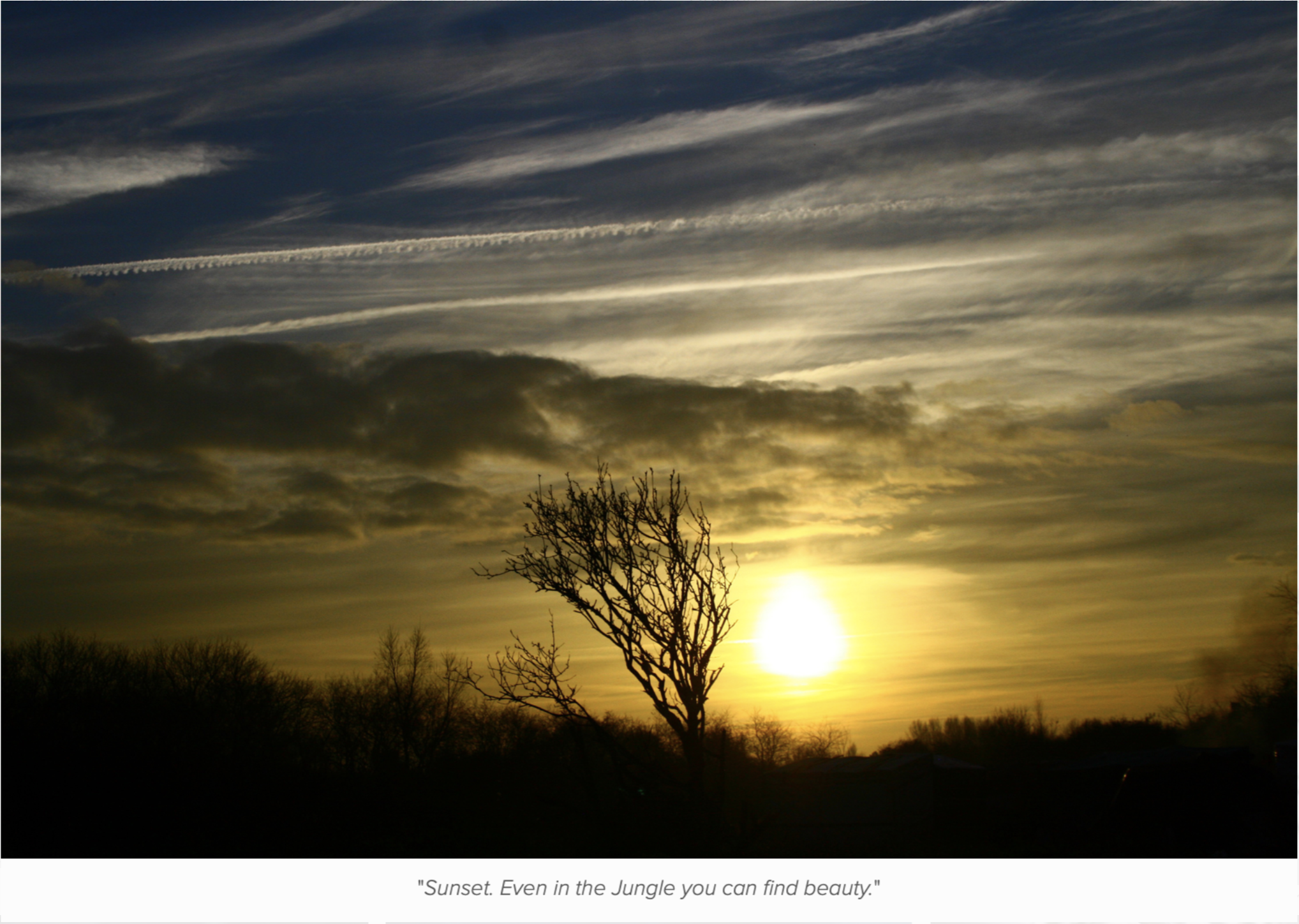 Screenshot 2026-01-11 at 00.22.21.png