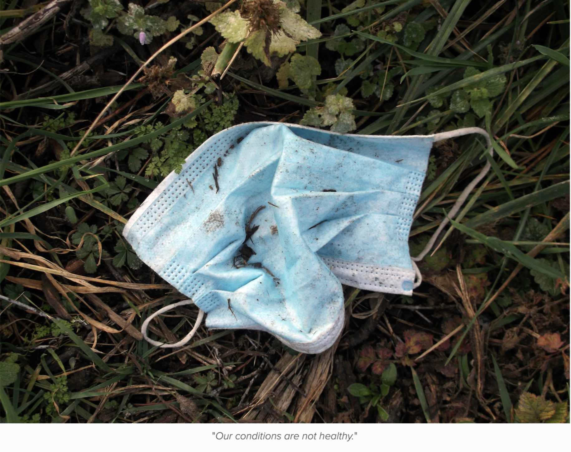 Screenshot 2026-01-11 at 00.30.15.png