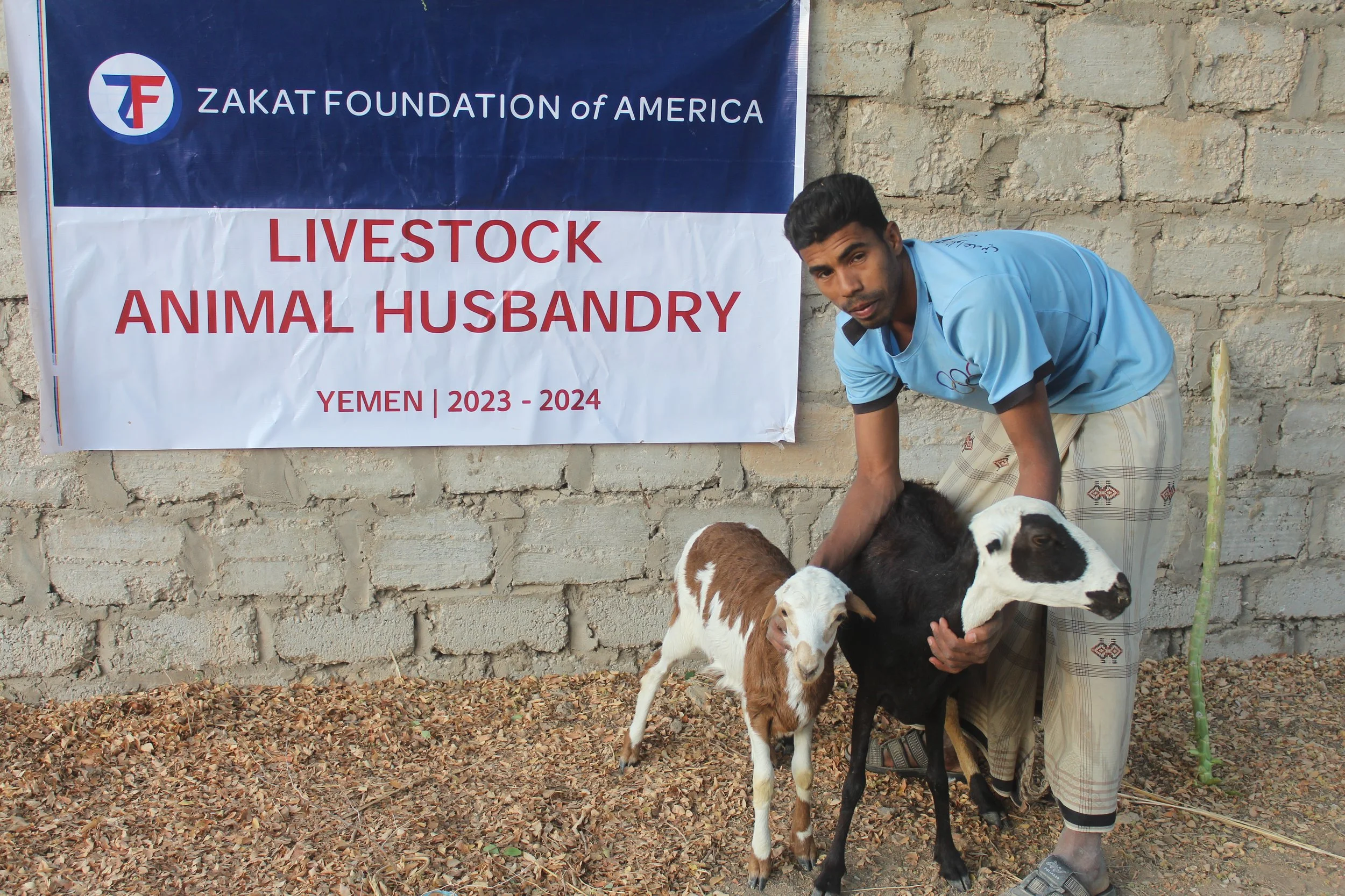 ZF Livestock Animal Husbandry Yemen 2023-2024.jpg