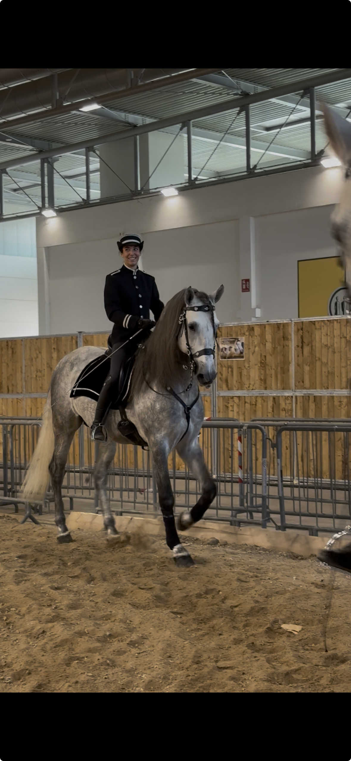 Gaia Esposito dimostrazione di alta scuola con cavallo spagnolo durante Fiera Cavalli Verona