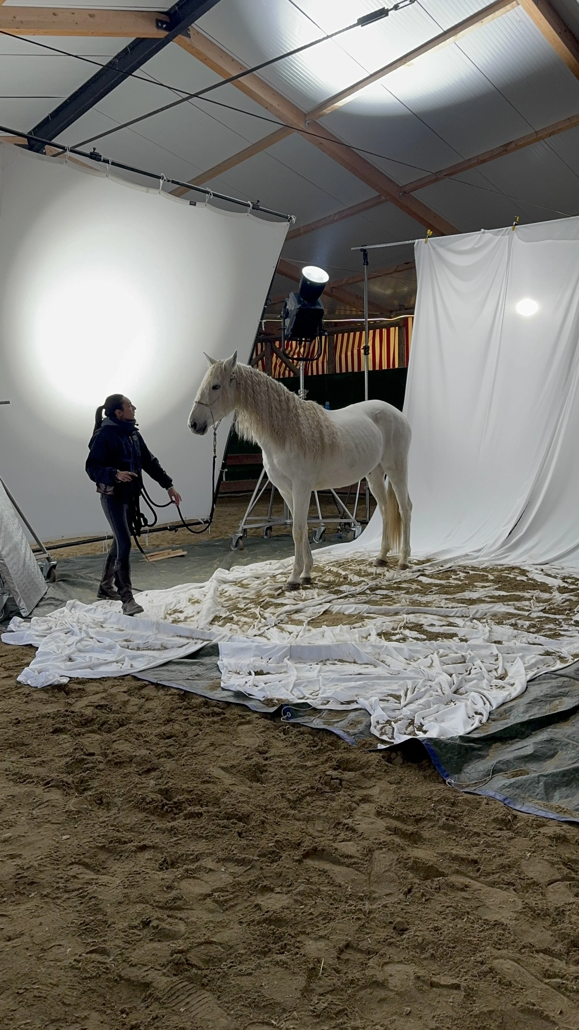 Shooting fotografico con cavallo bianco per moda pubblicità ed eventi | Gaia Esposito Equitazione