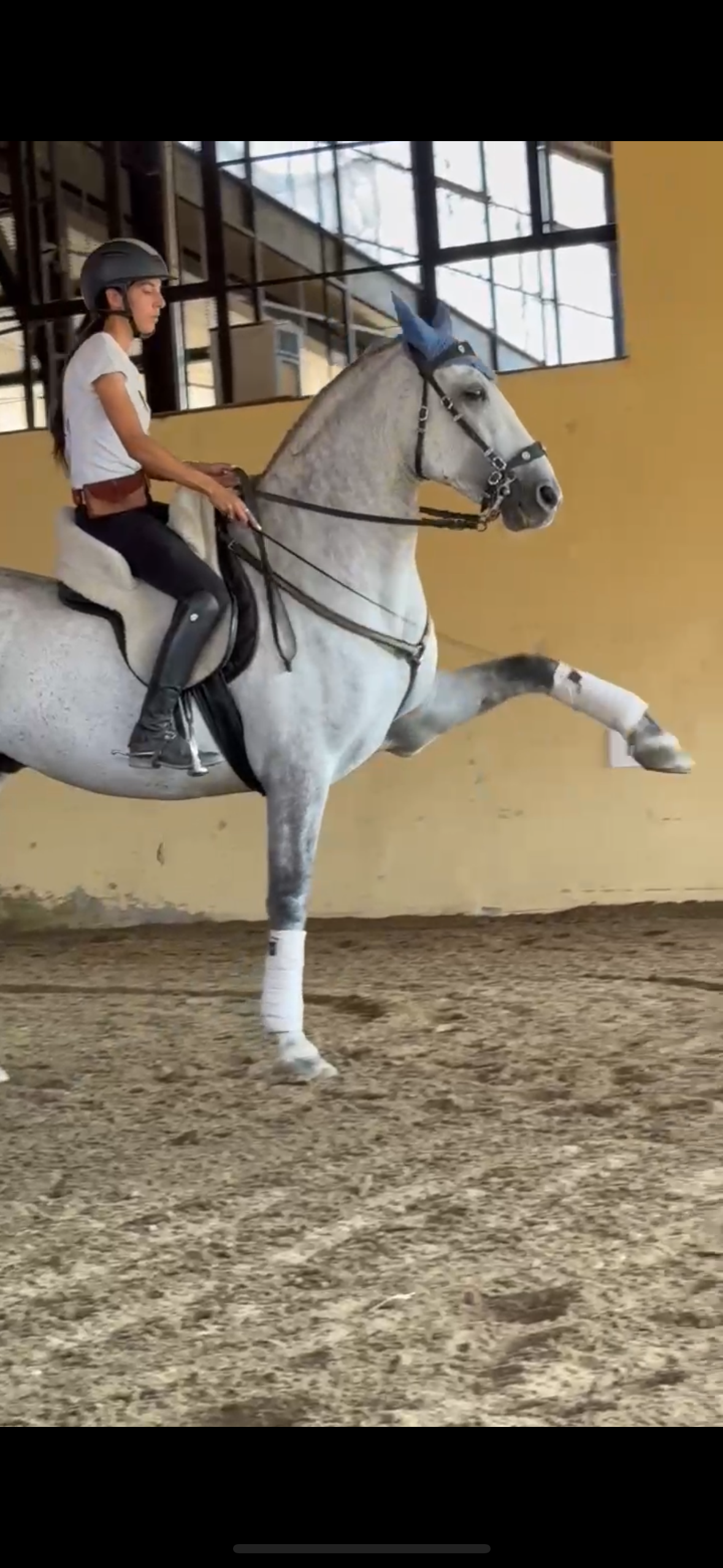 Gaia Esposito a cavallo durante l'allenamento al passo spagnolo a Milano