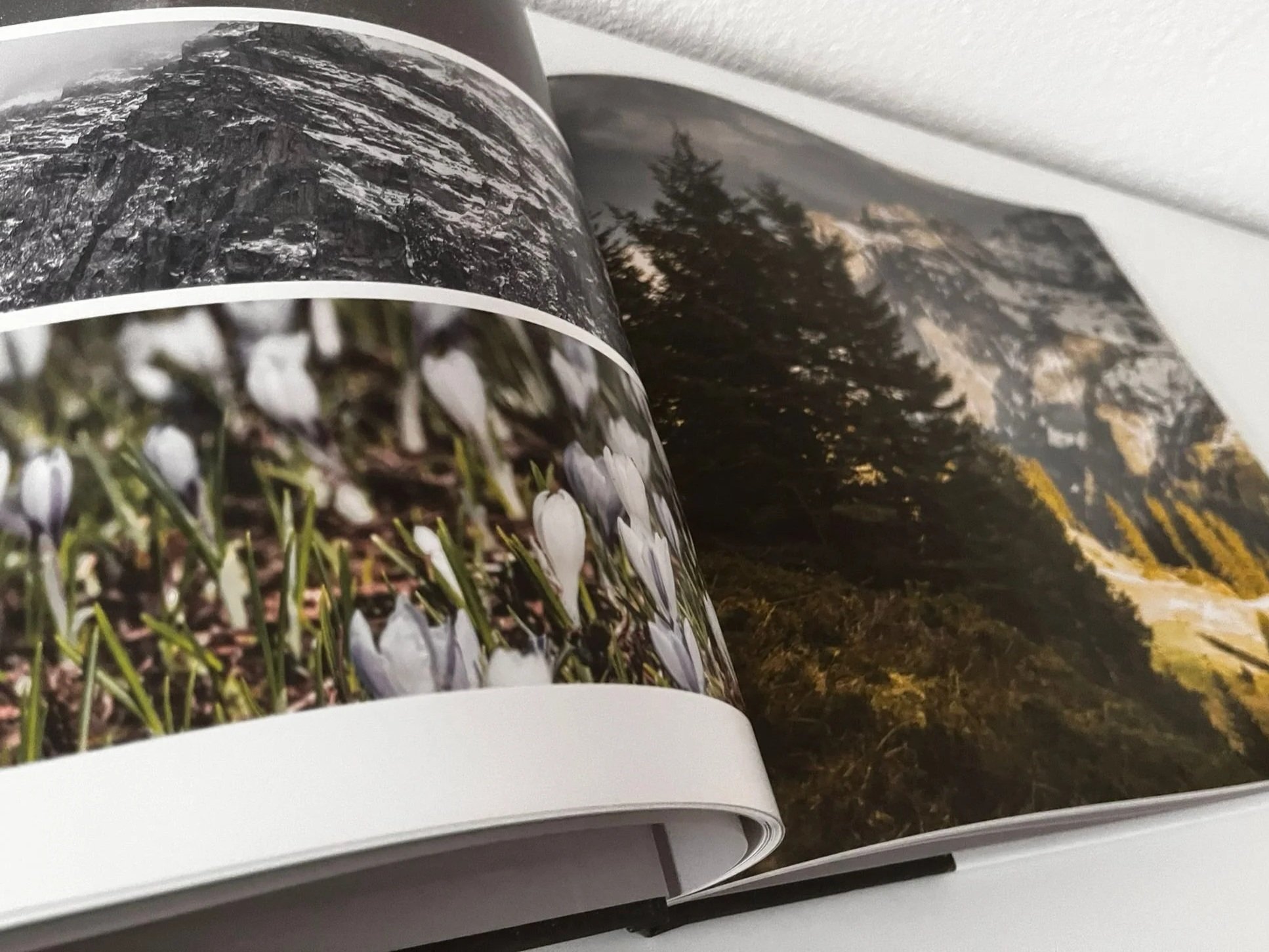 Ein offenes Buch mit einer Doppelseite. Auf der linken Seite ist ein Foto von weißen Schneeglöckchen im Boden, auf der rechten Seite ein Foto einer bewaldeten Berglandschaft bei Sonnenuntergang.