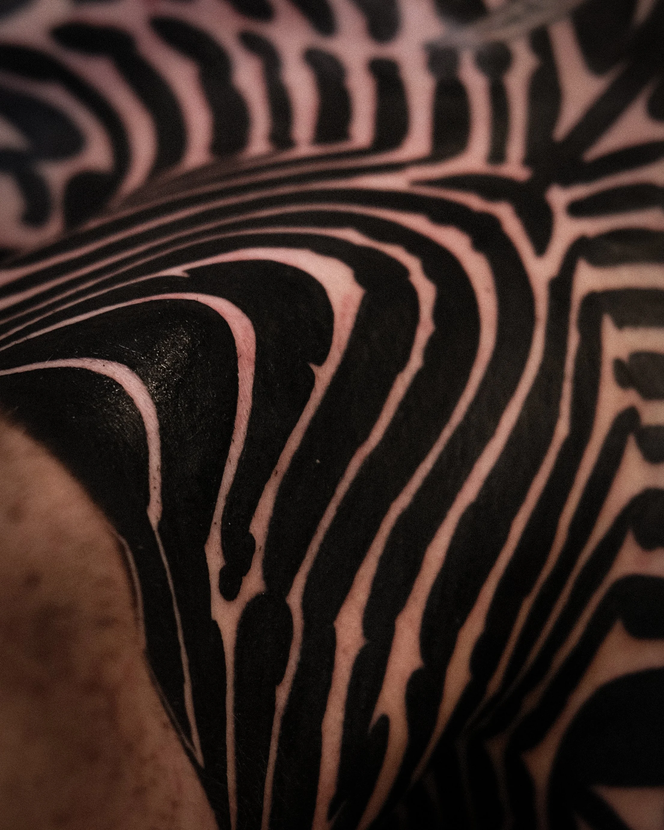 DSCF4439.jpg