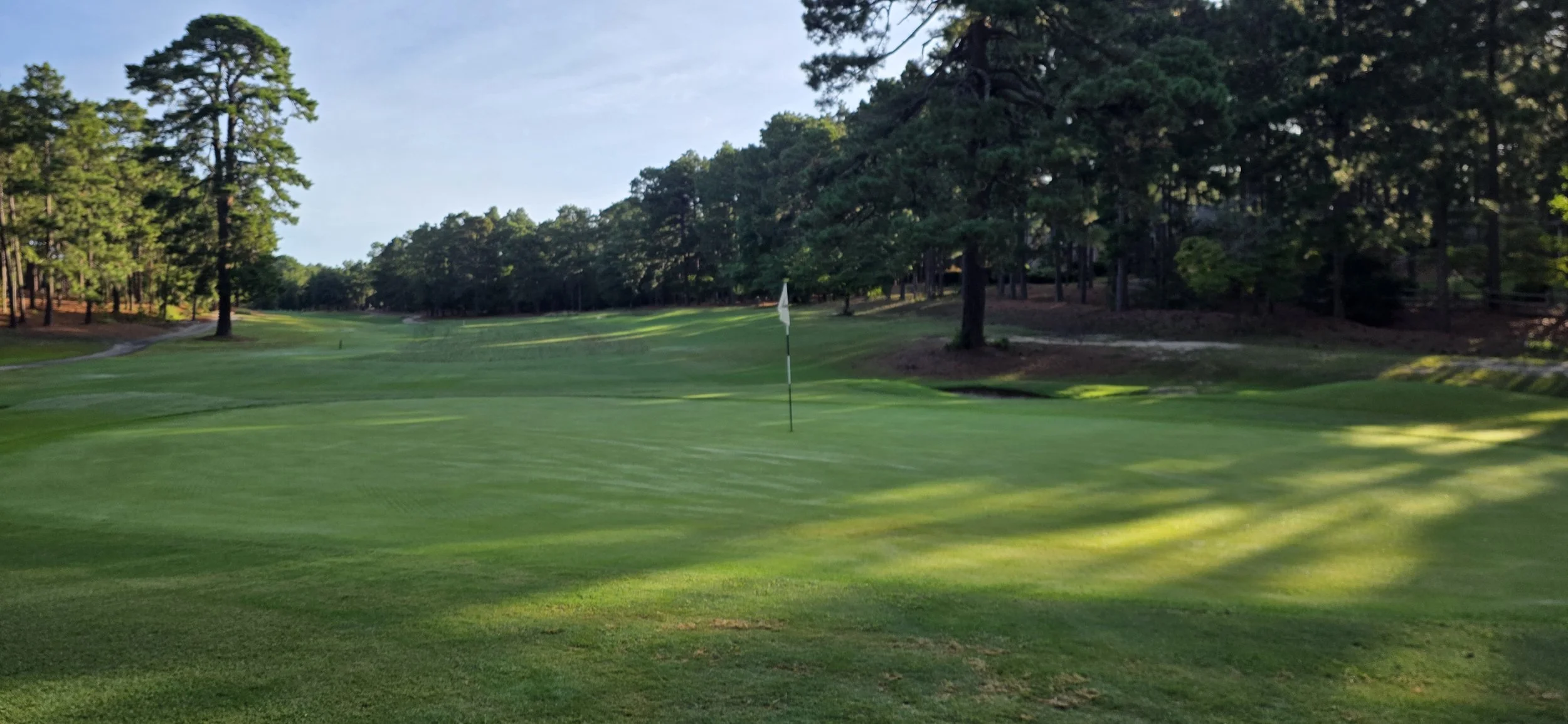 #3 green