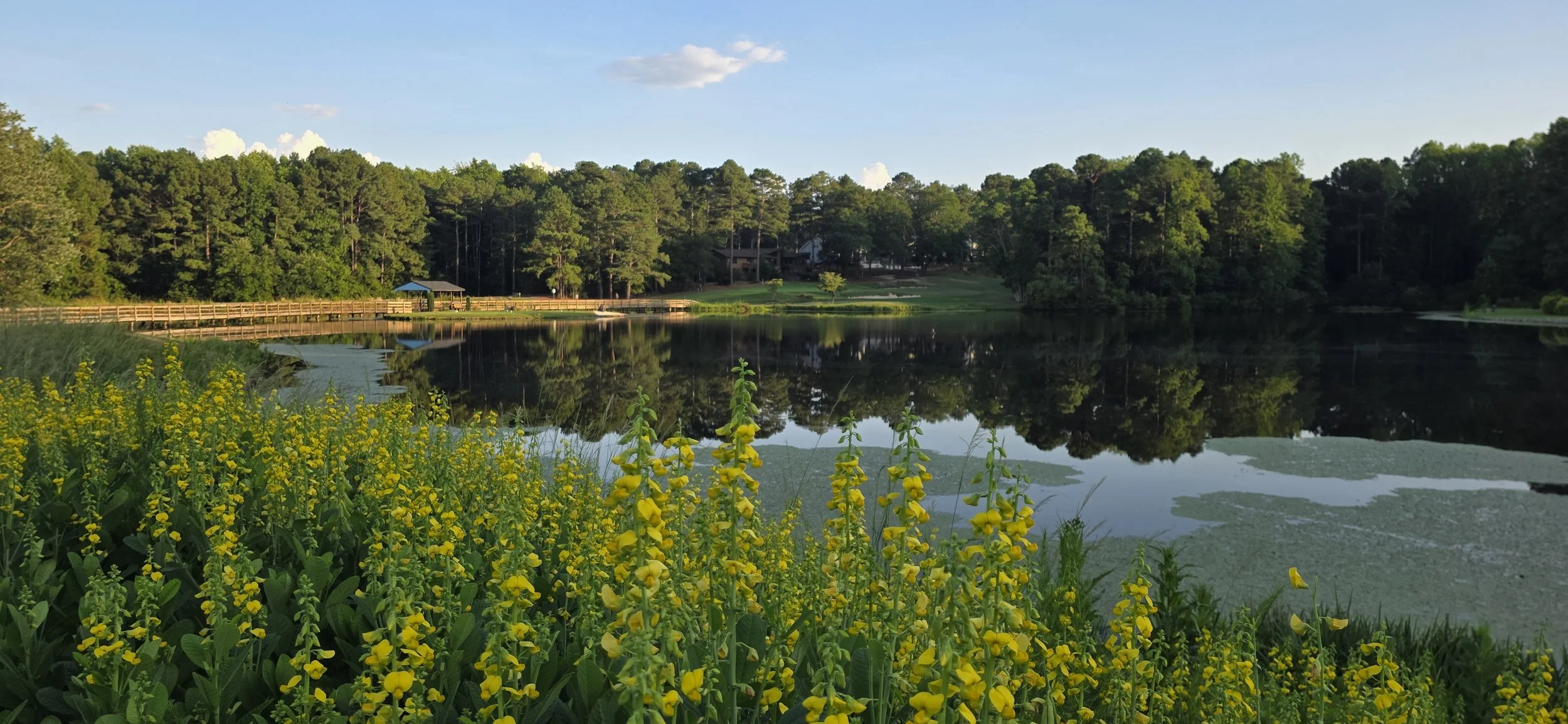 Look back at #11 tee box