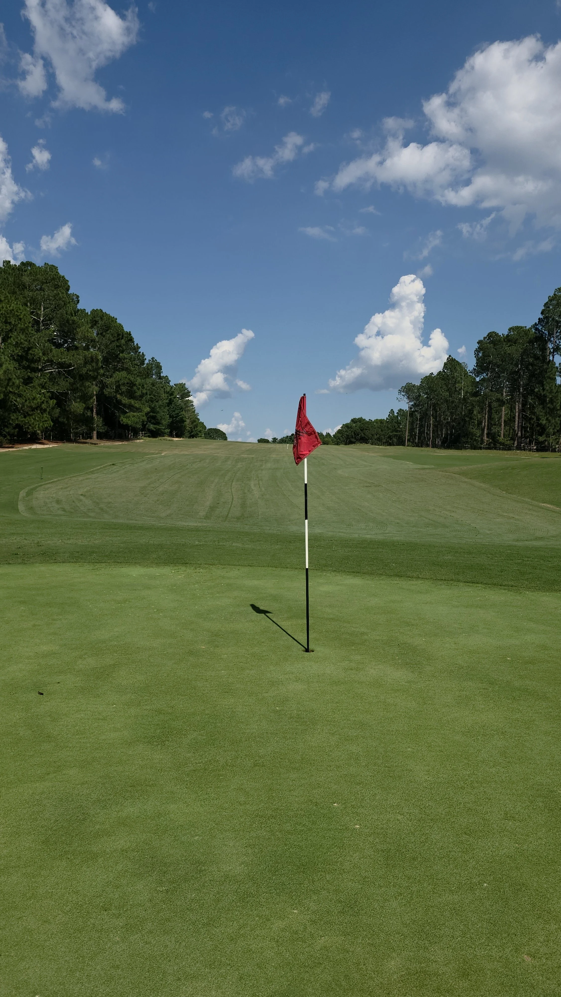 #1 Green looking back to fairway