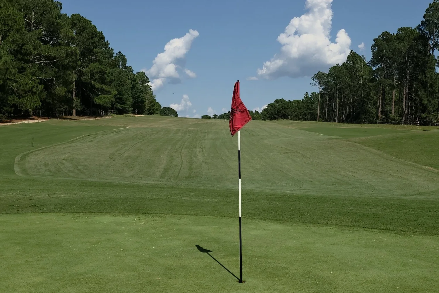 Hole 1 green looking back to the fairway