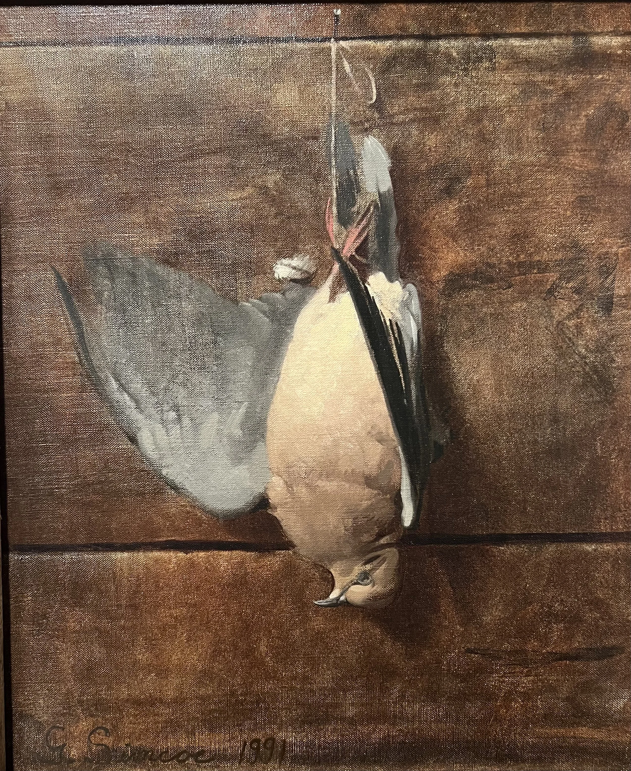 Mourning Dove - oil on canvas (16”x14”)