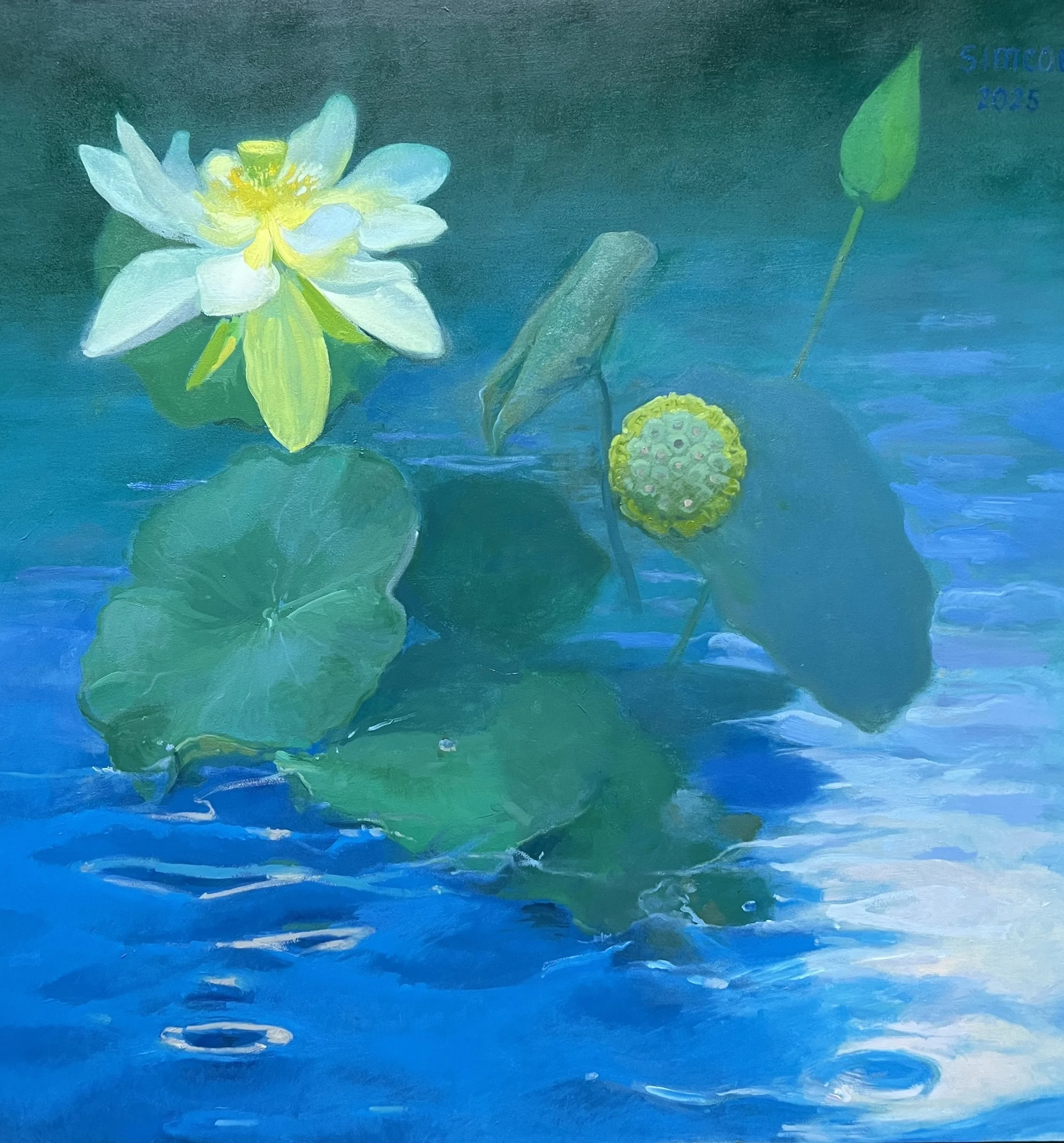 Serenity Lotus - (36"x36") - oil on canvas