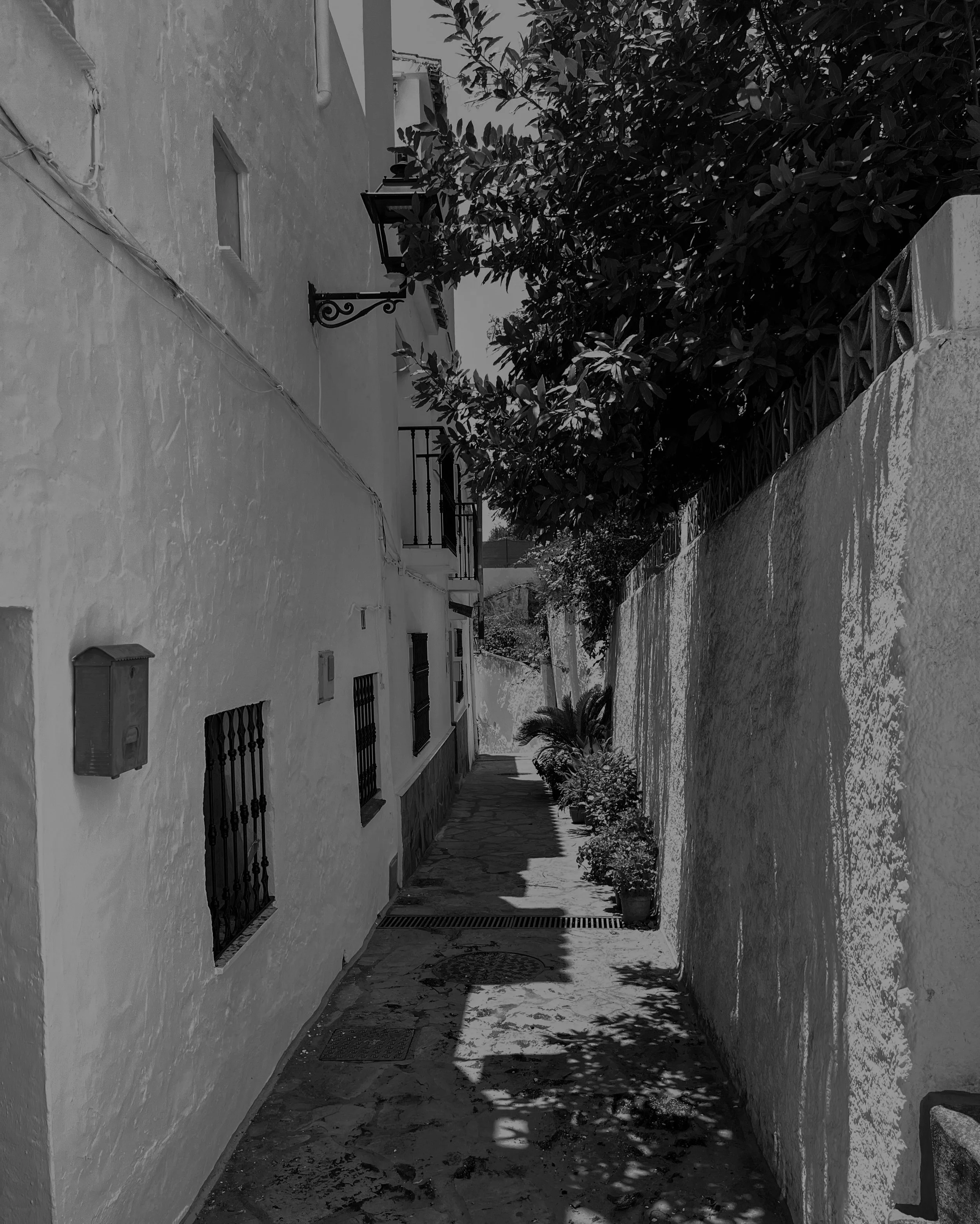 Narrow alleyway with white stucco walls, potted plants, and a large tree casting shadows, in a Mediterranean setting.