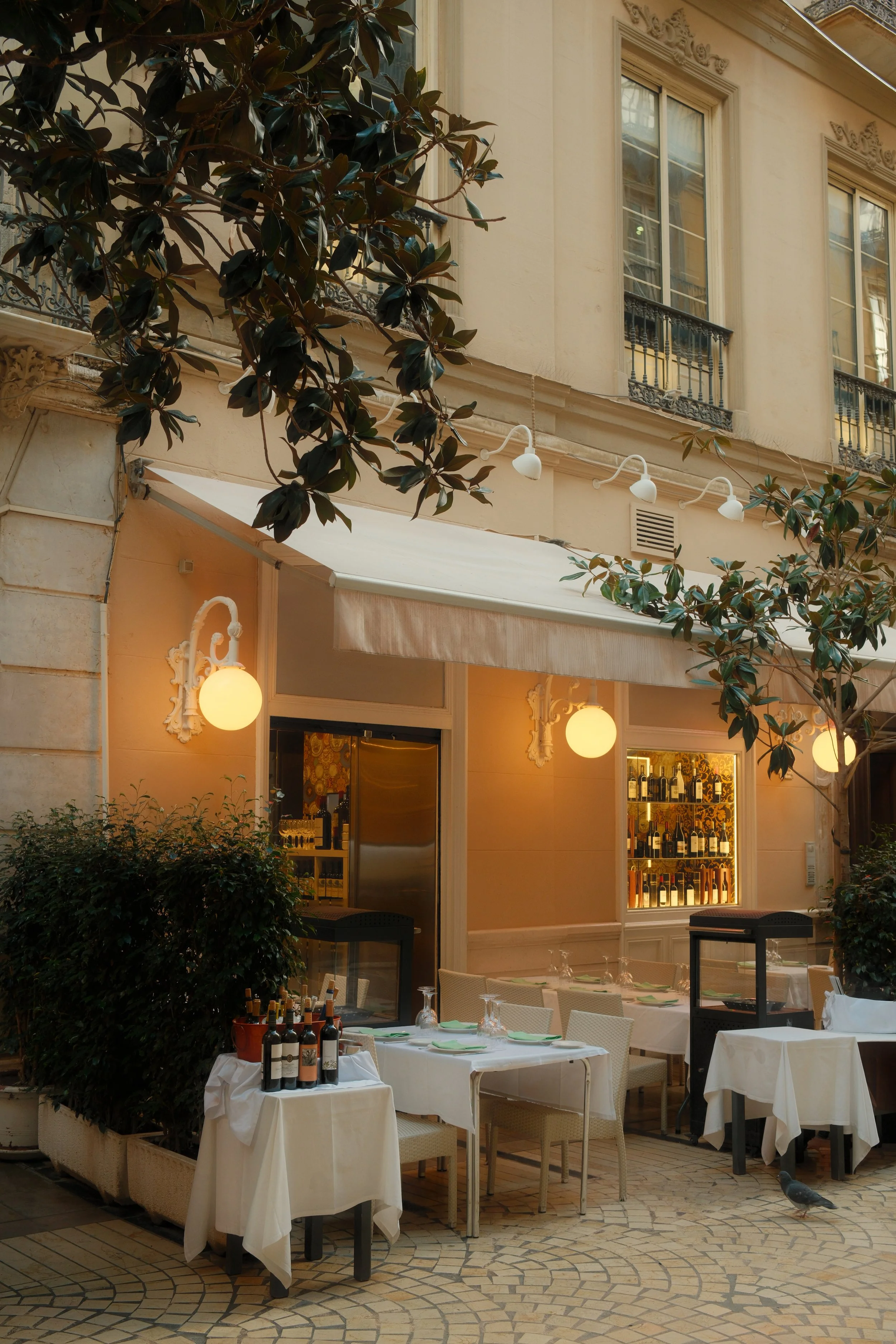 An outdoor dining area of a restaurant with white tablecloths, chairs, wine bottles on a table, and a pigeon on the ground. The background features a building with large windows and decorative elements.