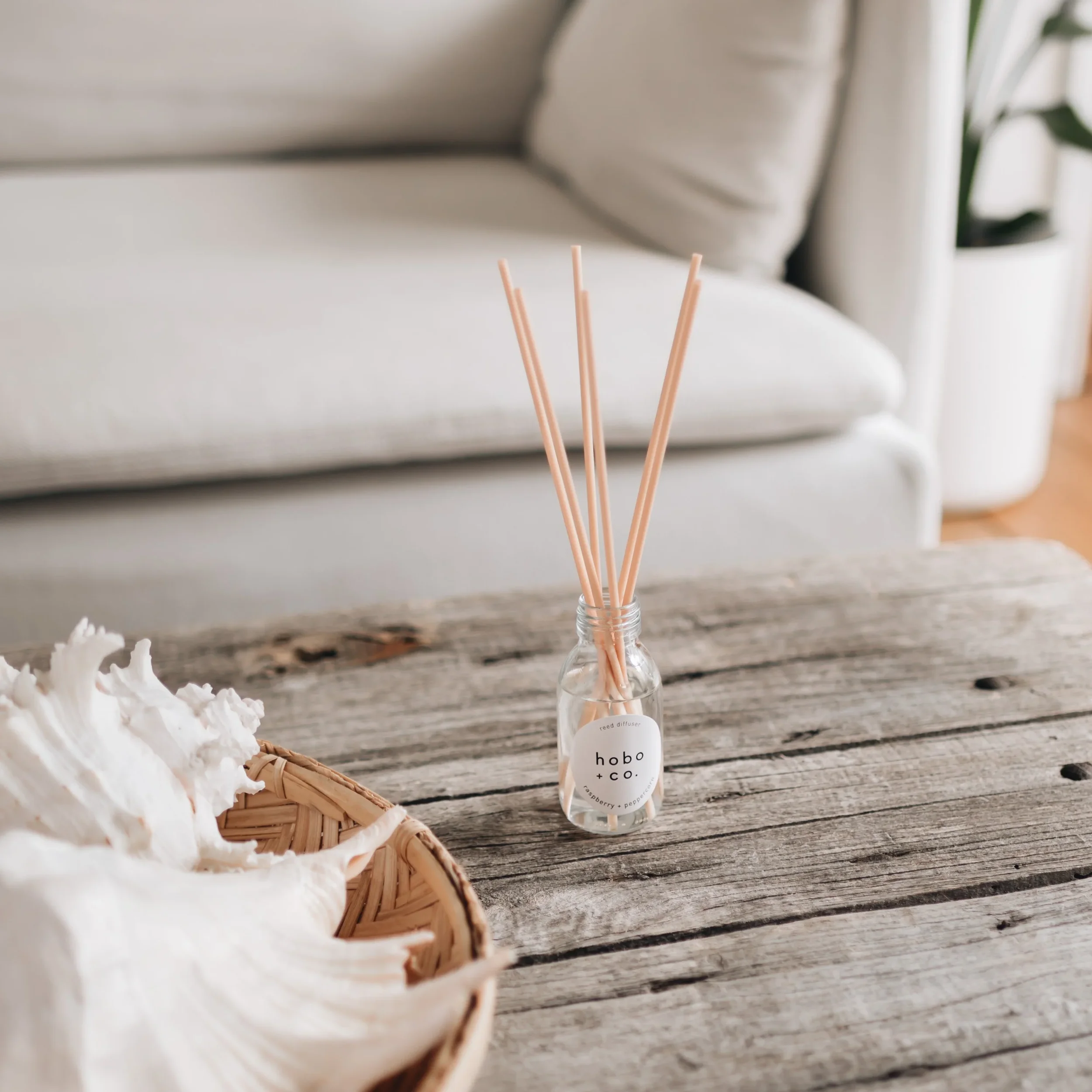 A small glass bottle with reed sticks labeled 'hobo + co.' sitting on a rustic wooden table, with a basket of large seashells nearby, in a cozy living room setting.