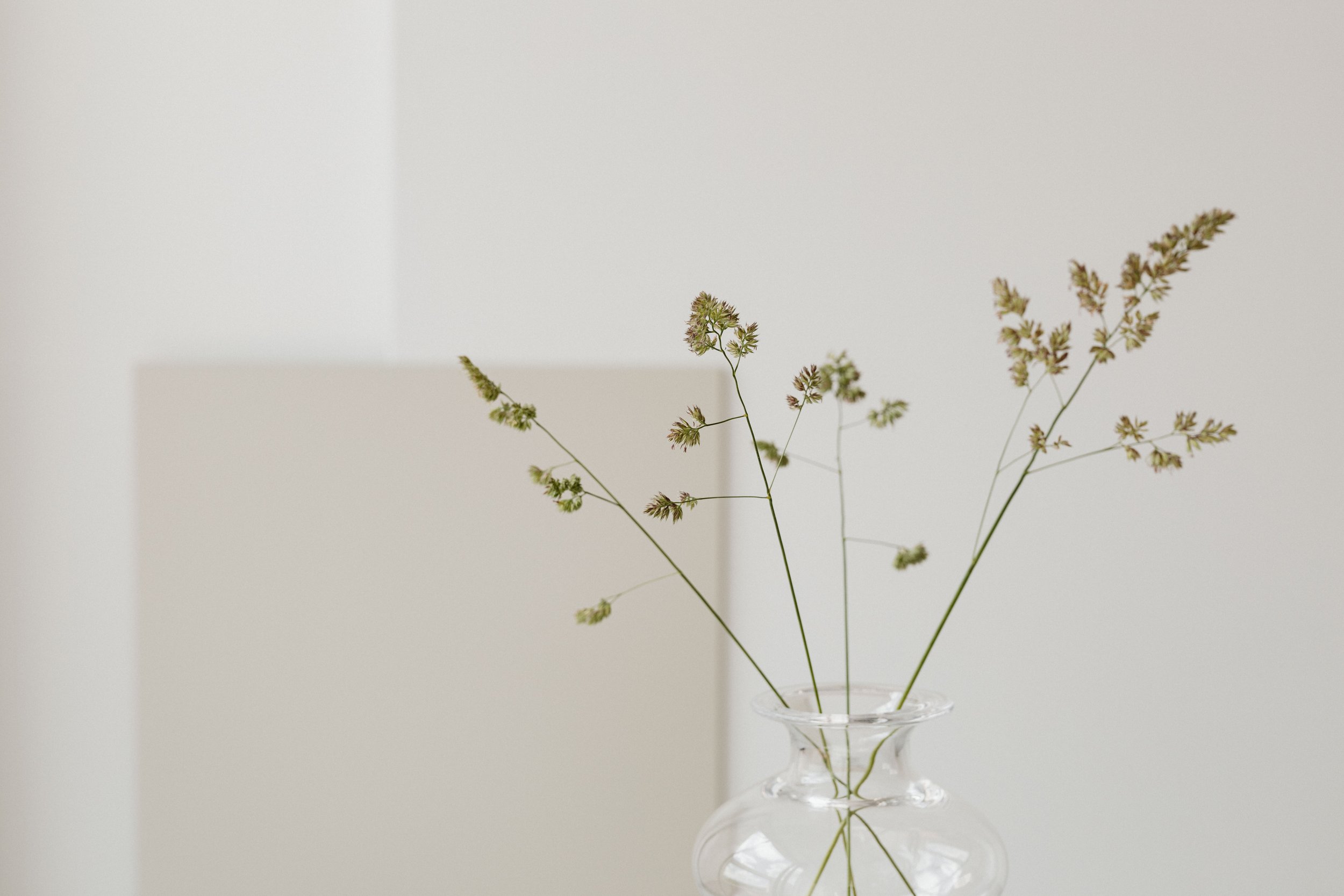 A clear glass vase with a narrow neck contains green, dried, wispy plant stems, set against a plain, light-colored background.