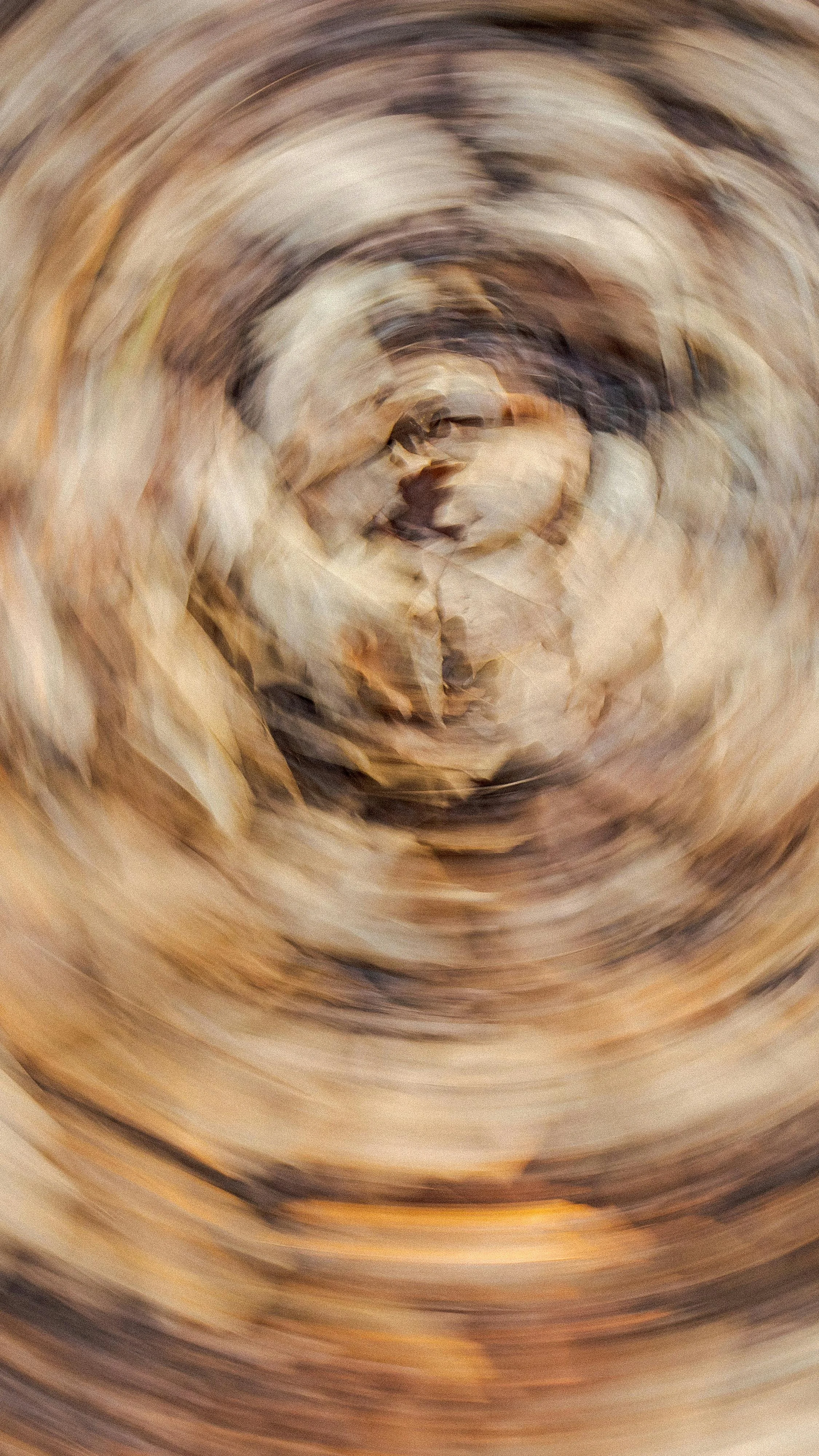 Reputation, Brand & Marketing Strategy