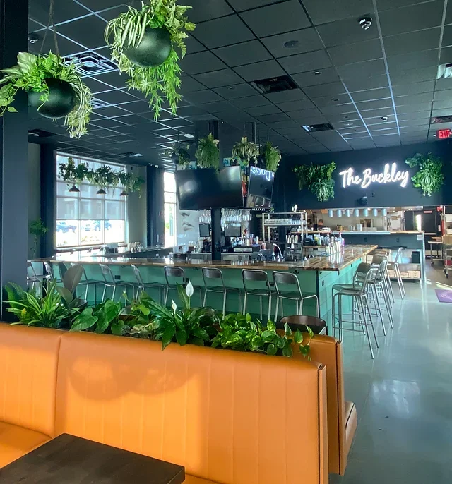 Interior of a modern bar or cafe called 'The Buckley' with a central bar area, hanging green plants, and a bright, welcoming atmosphere.