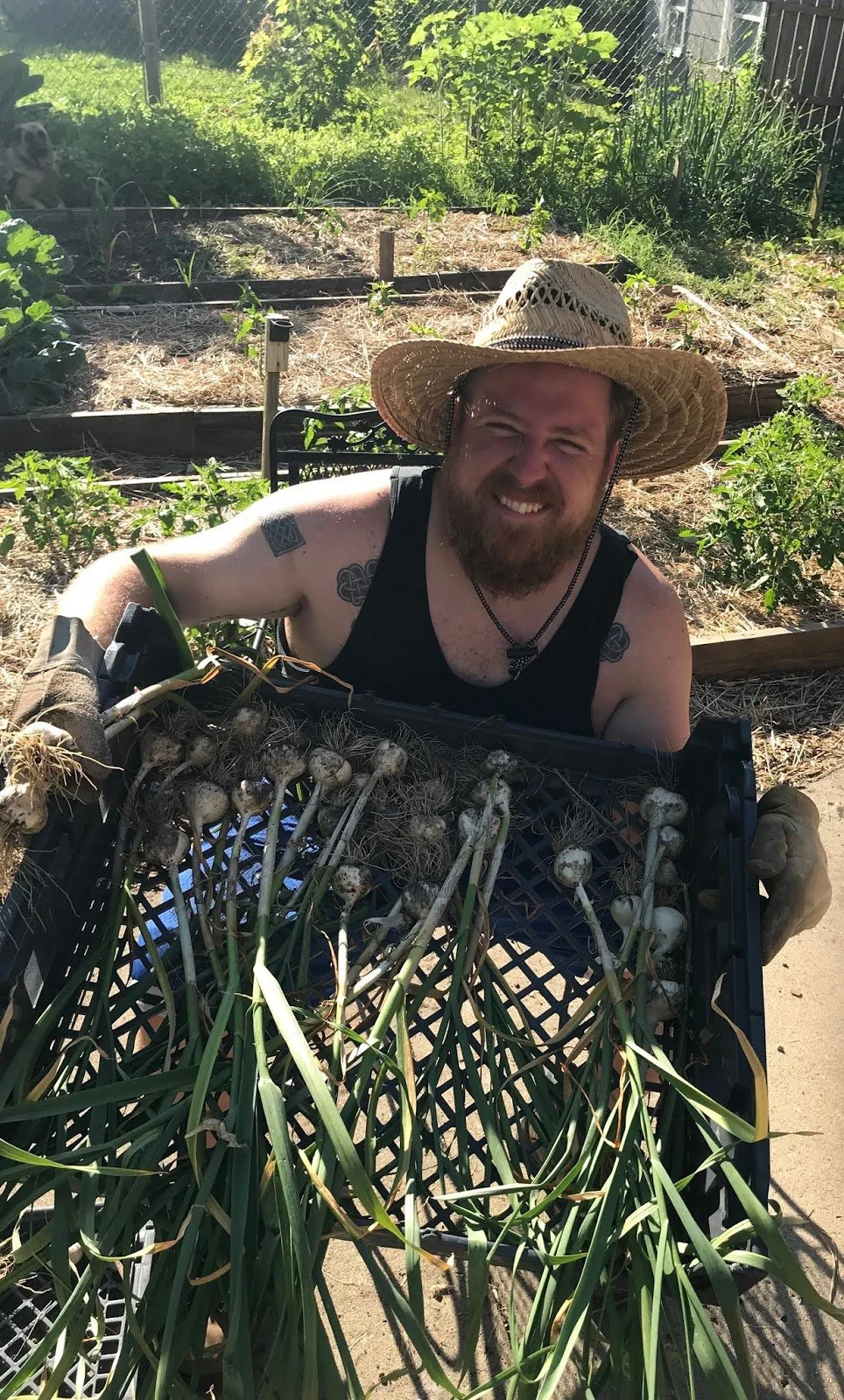 There and Back Again