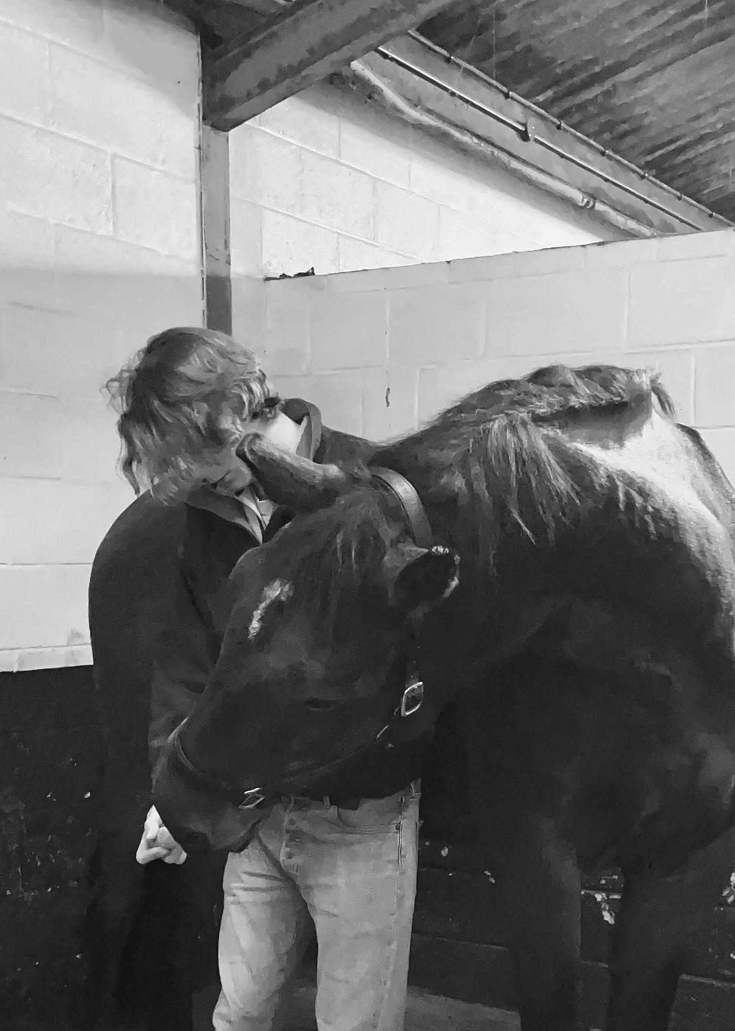 A person performing a stretching exercise with a dark-coloured horse in a stable.