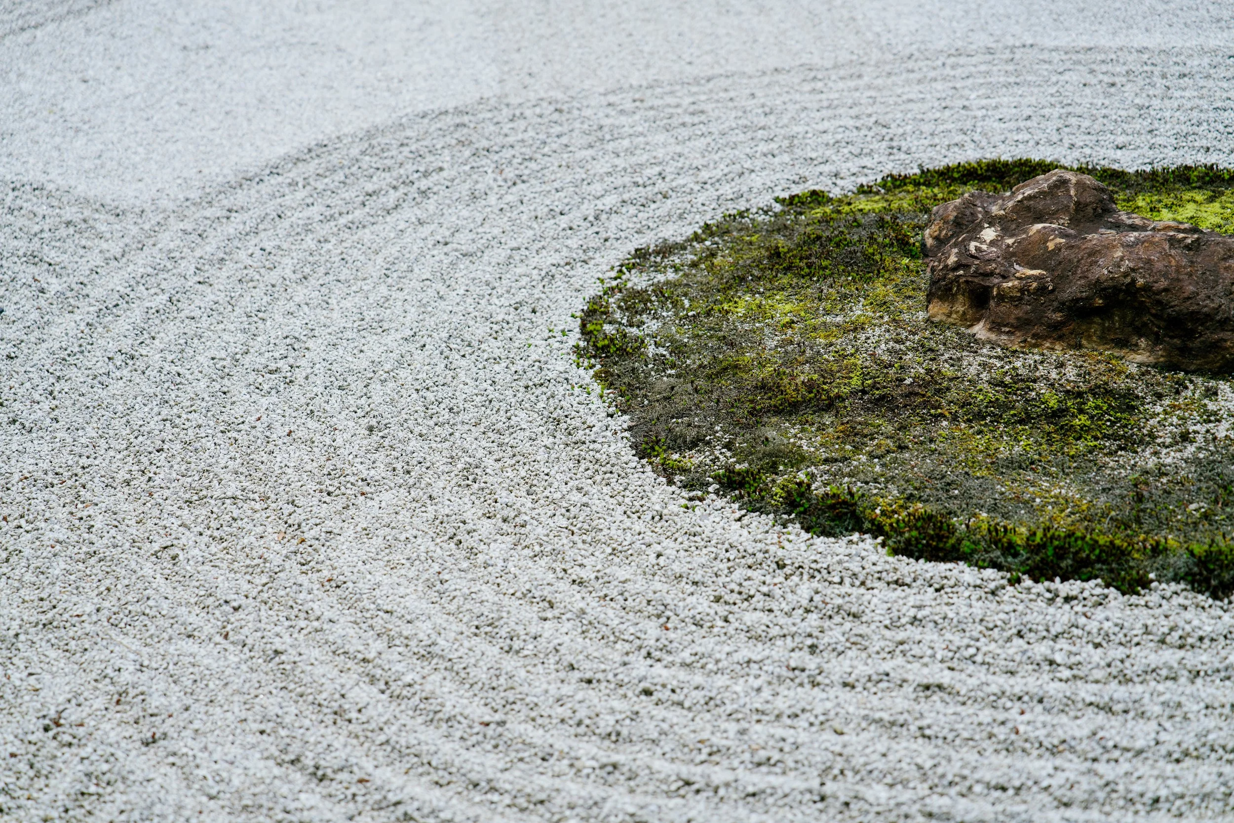 Weekly Monday Dhamma & Meditation